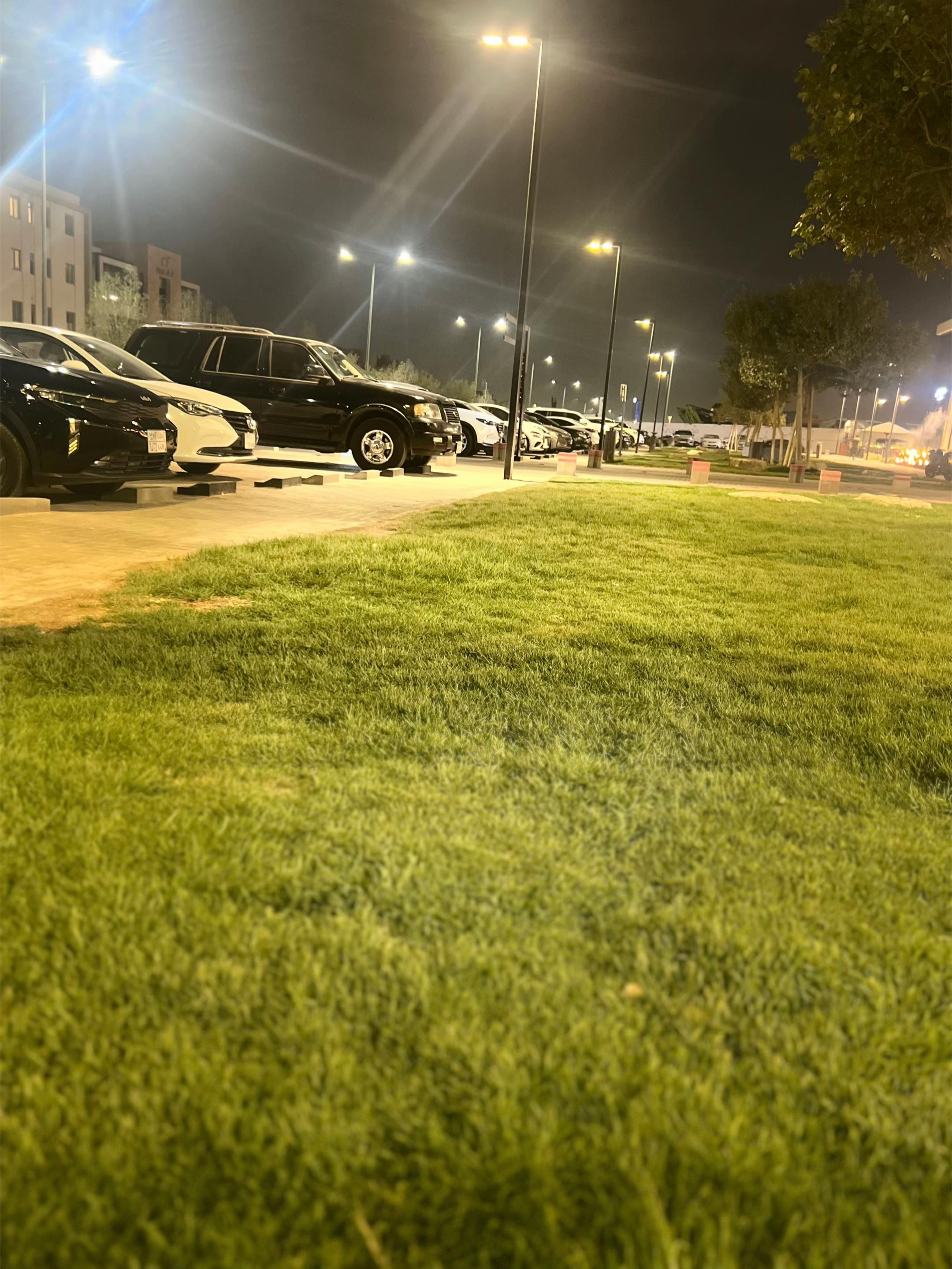 @Sana da
