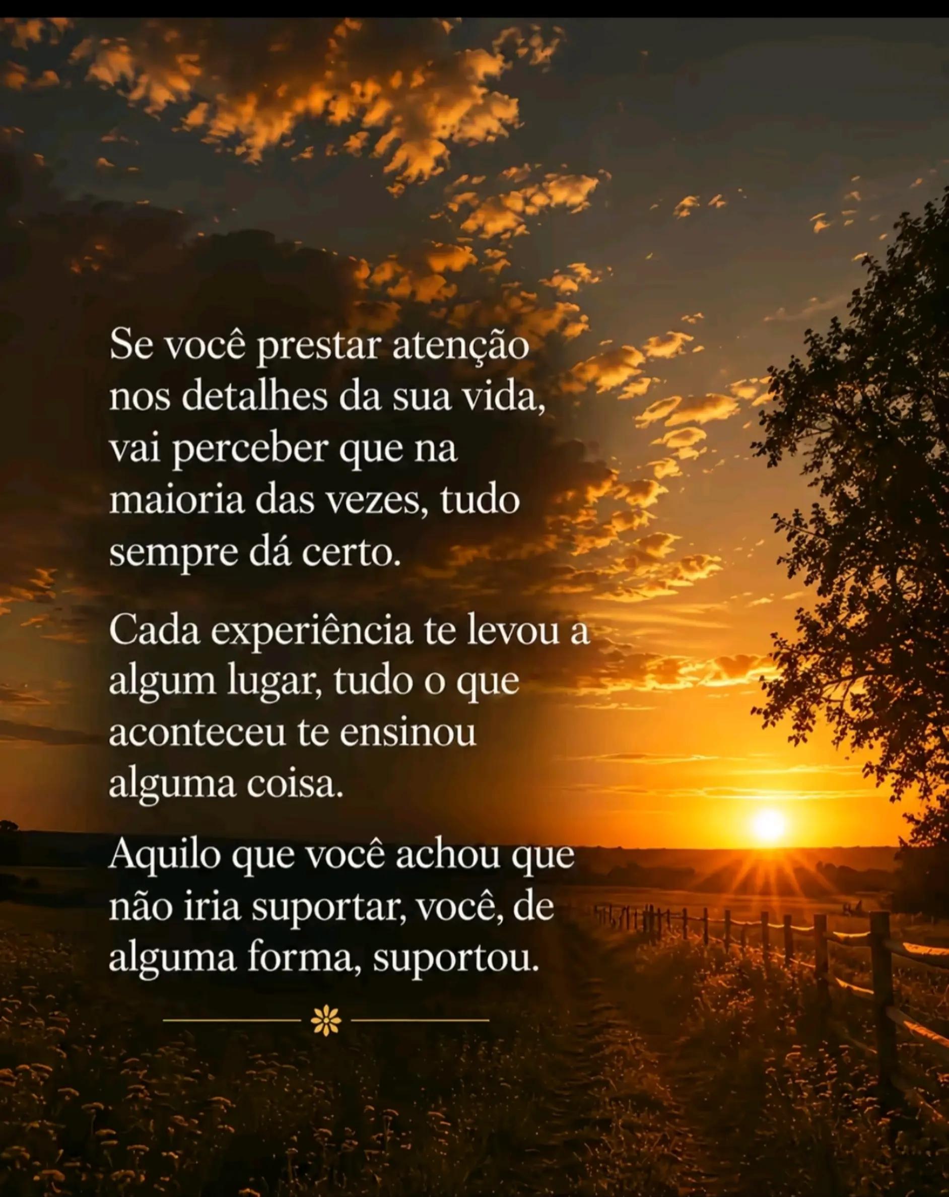 @Eli Cris🌹