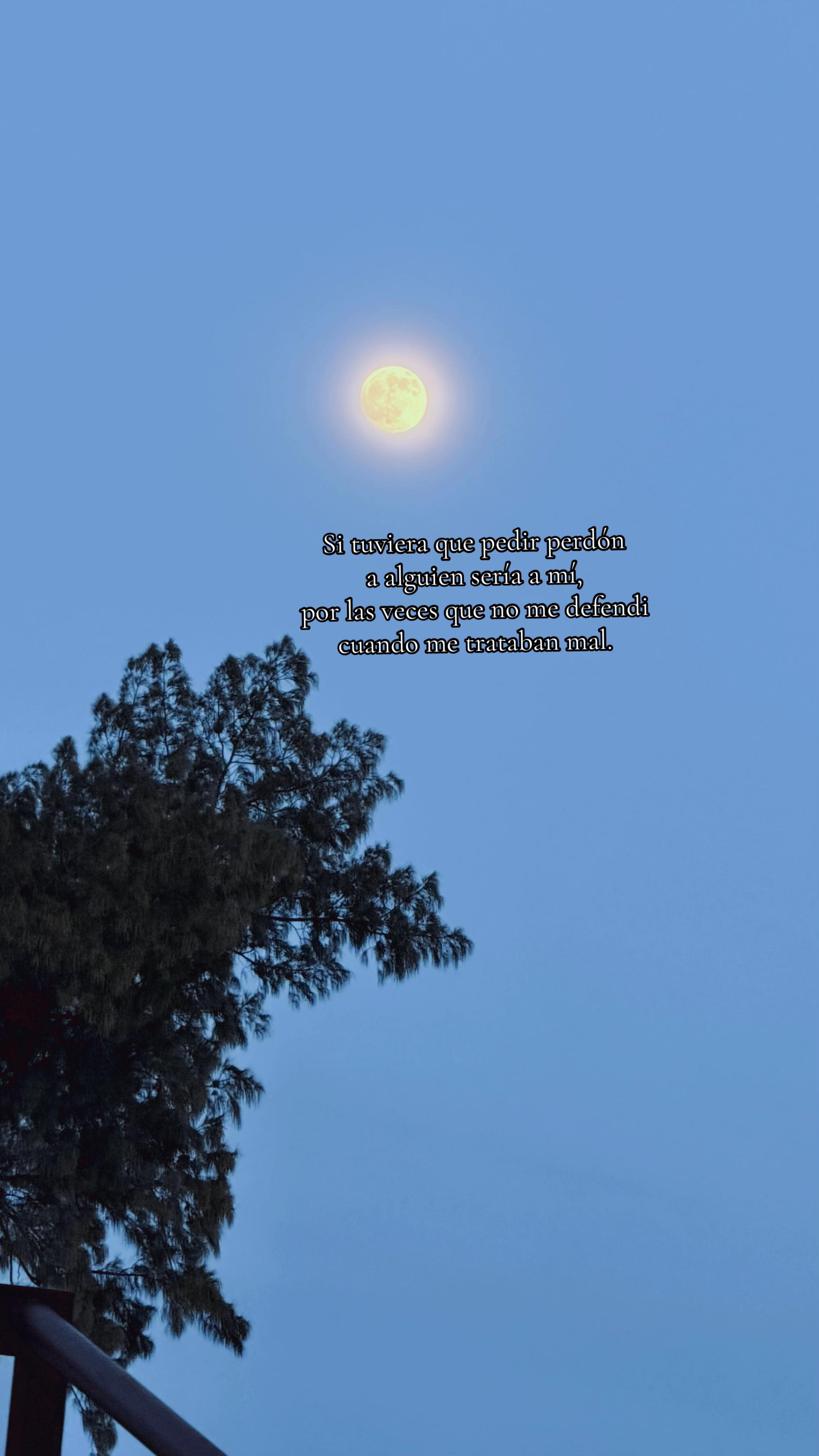 @𝒢𝒶𝒷'𝓈 ℛ𝒾́ℴ𝓈ℳℴ𝓇