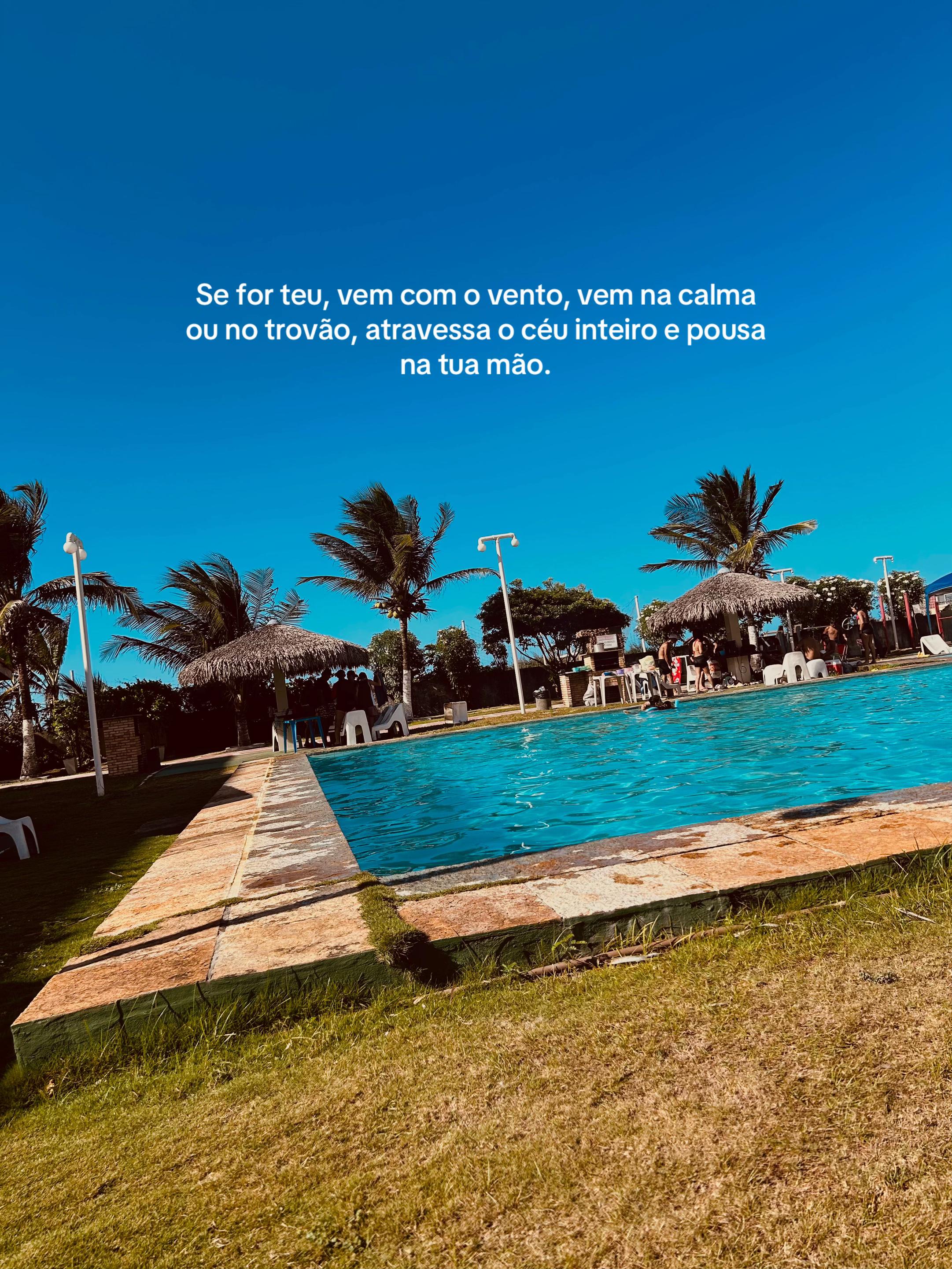 @Yasmim Ferreira