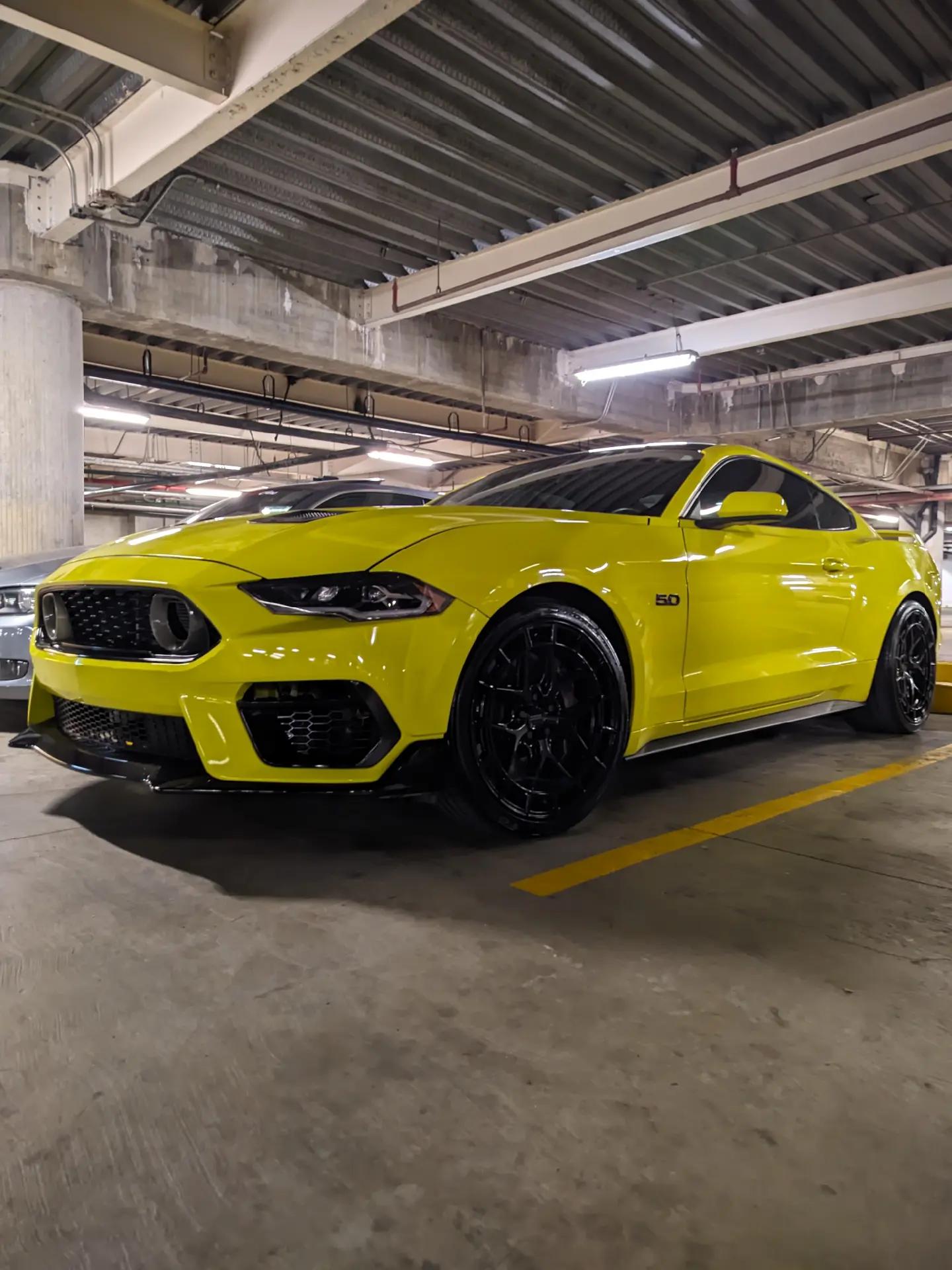 @Paradise Cars