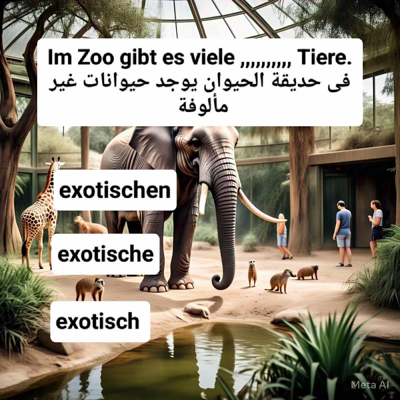 @Deutschland 🇩🇪 Ägypten 🇪🇬