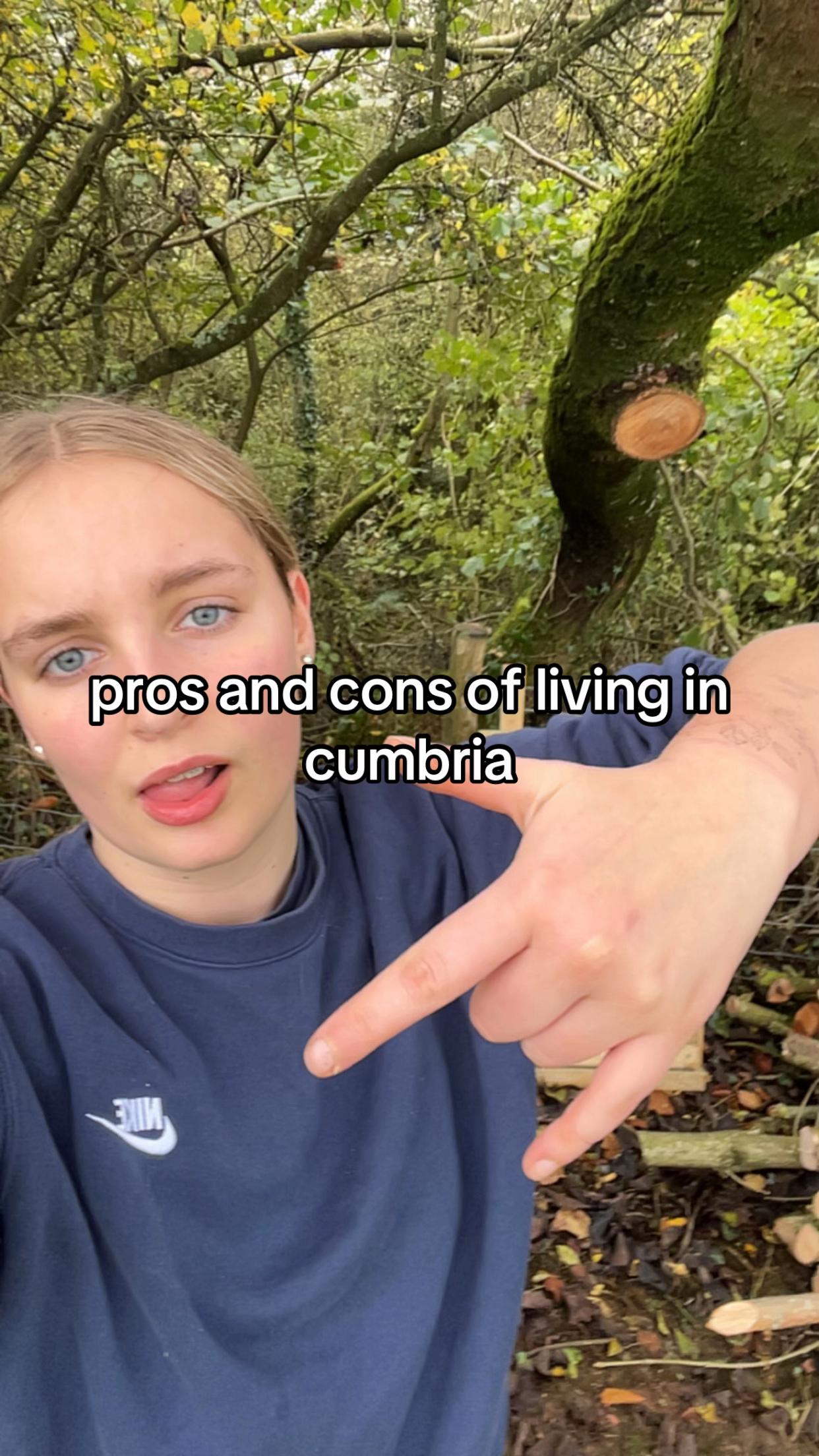 @lily