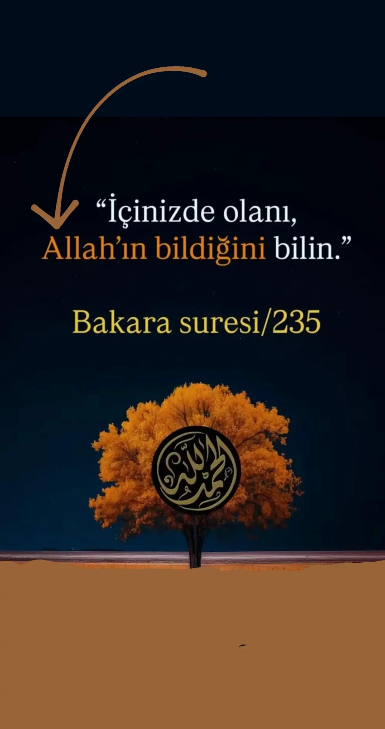@İbrahim Yetkin