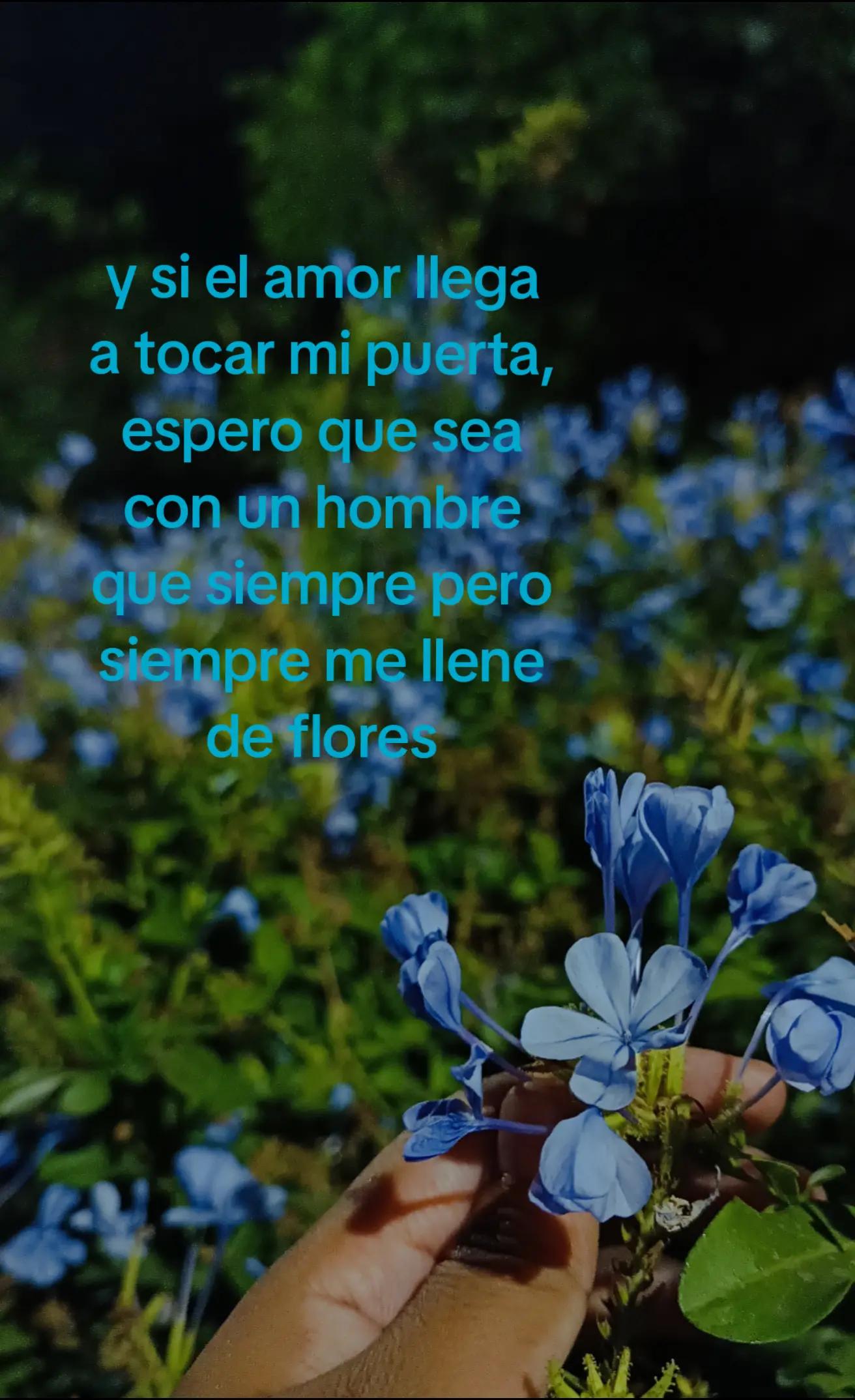 @️Noe:)