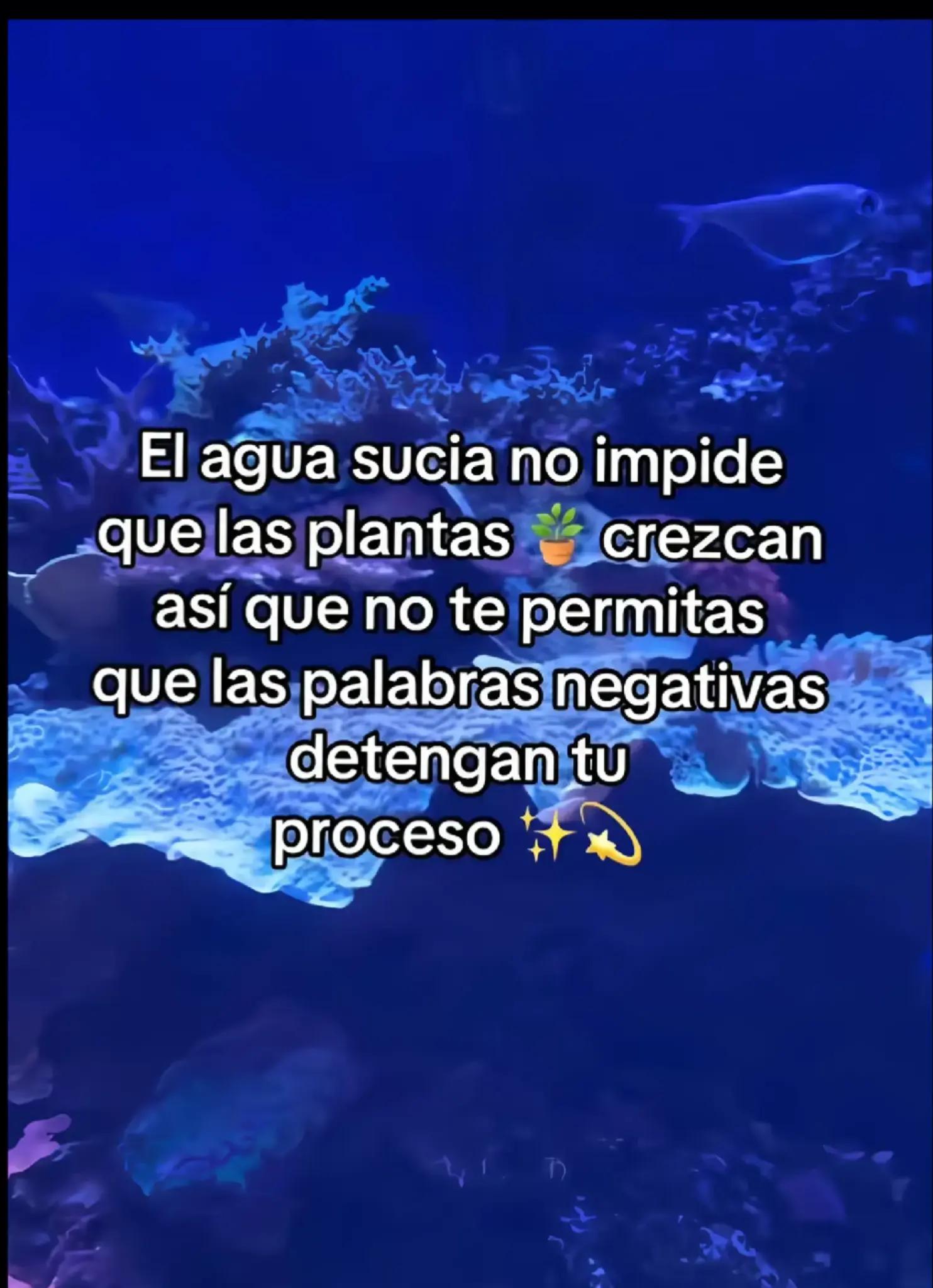 @yulissaamor+504😘🥰