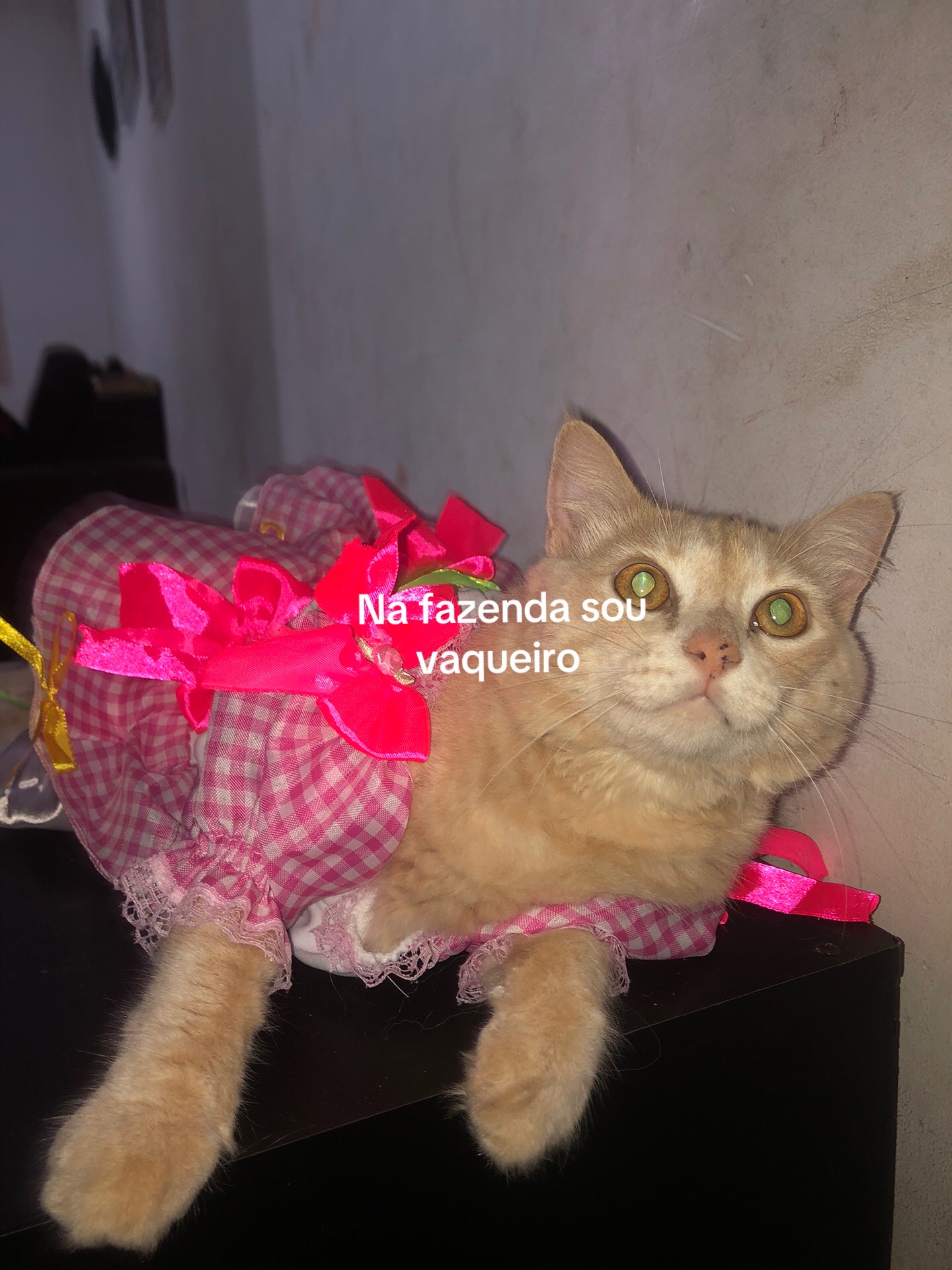 @Pᥱ́r᥆ᥣᥲ ᥱ ᥴᥲ&rho;&iota;tᥲ̃᥆