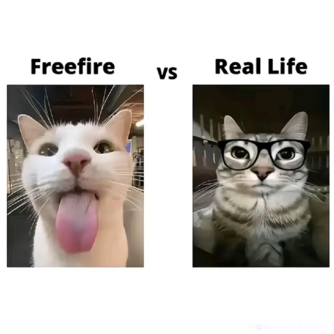 @Seefour