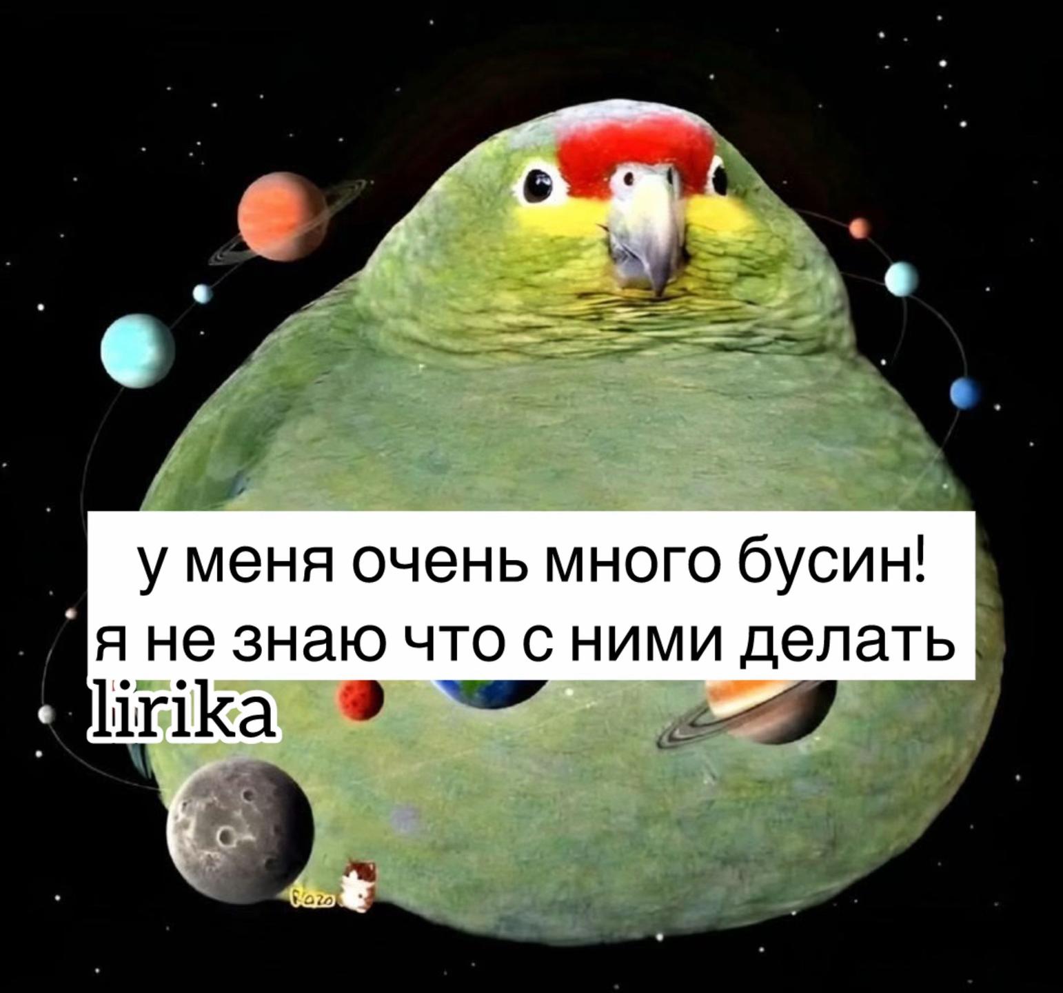 @lirika