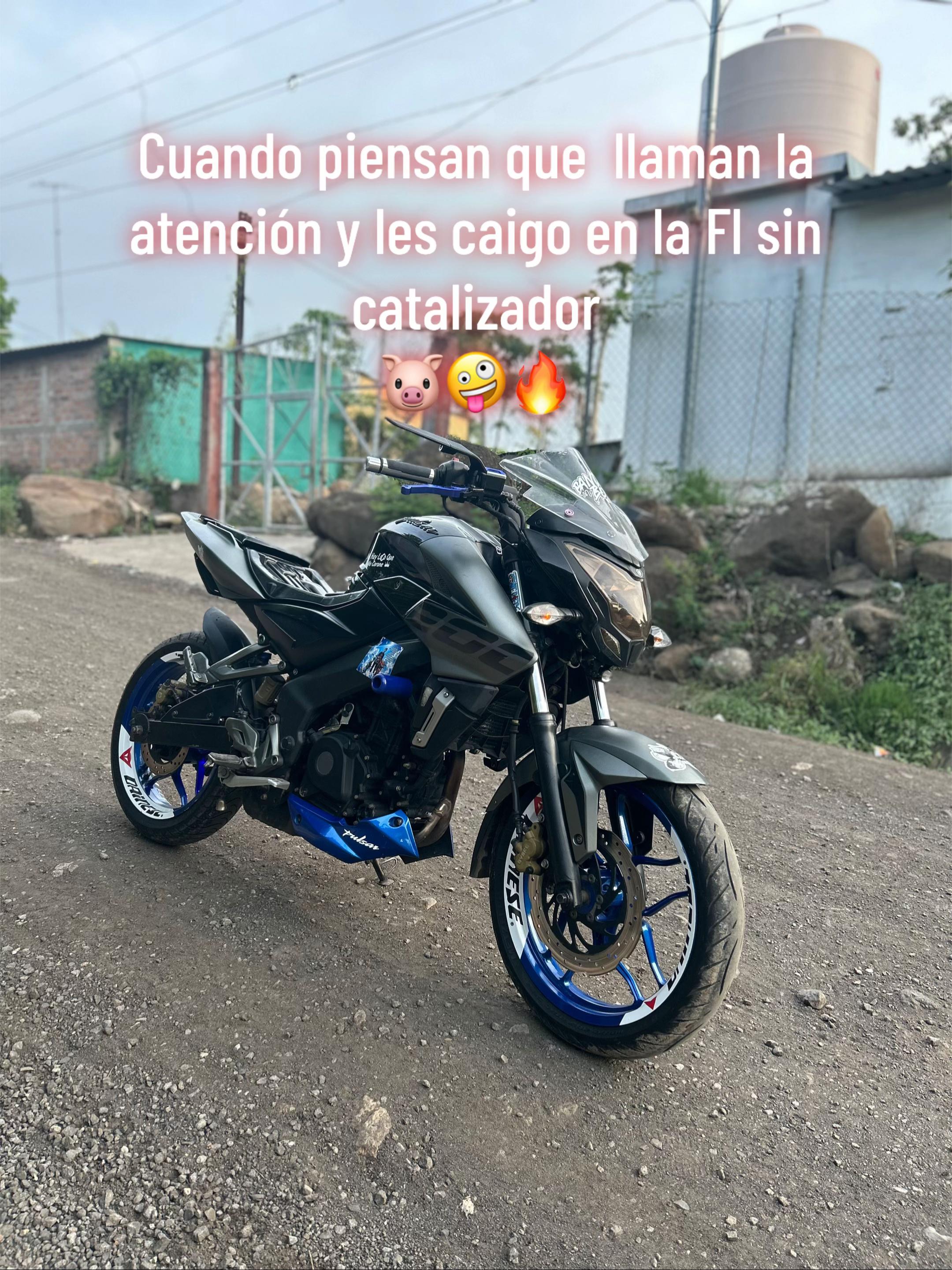 @el pana 🦥