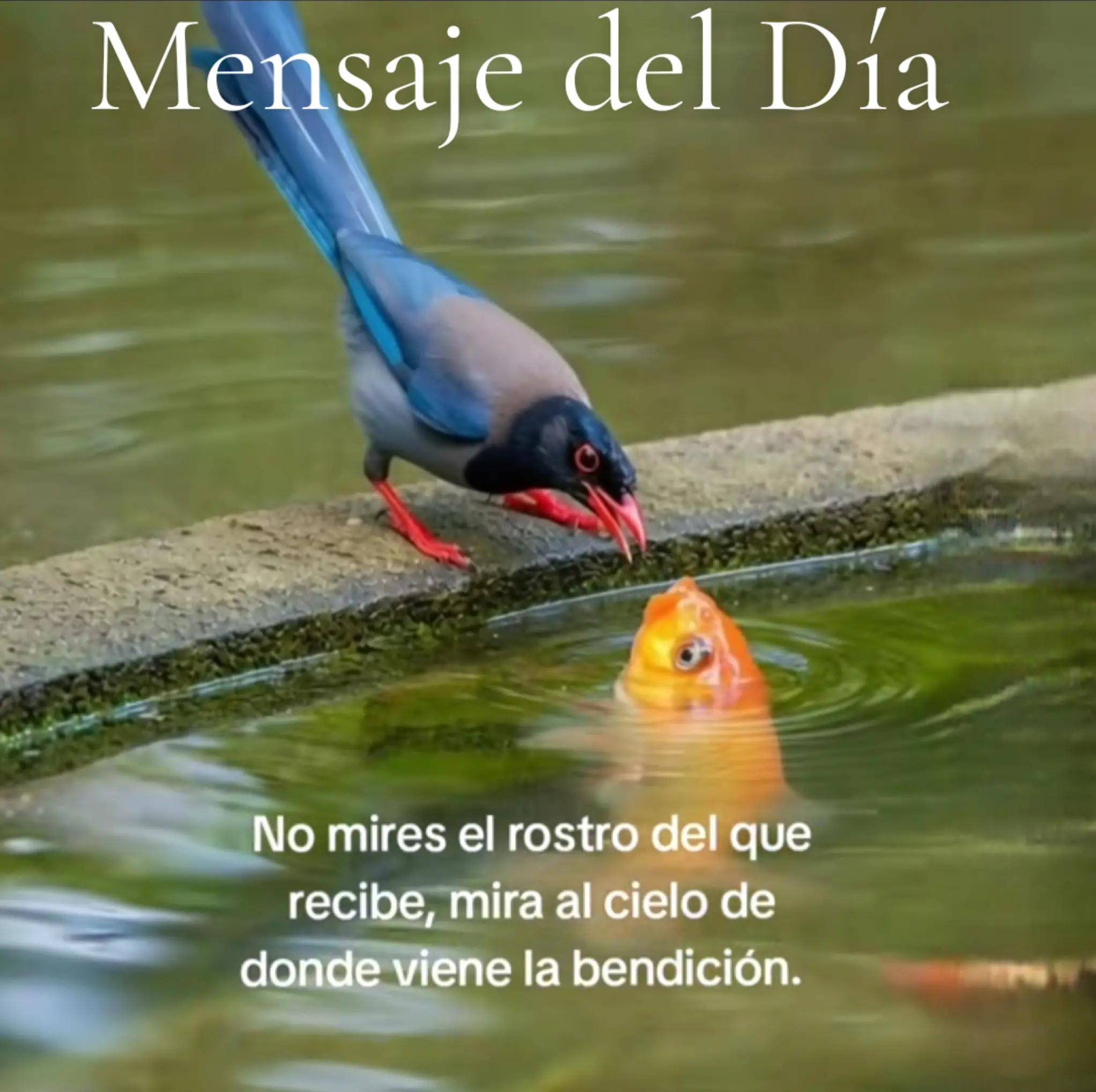 @LA VerdadLQUESEDICETV  Mvsegur
