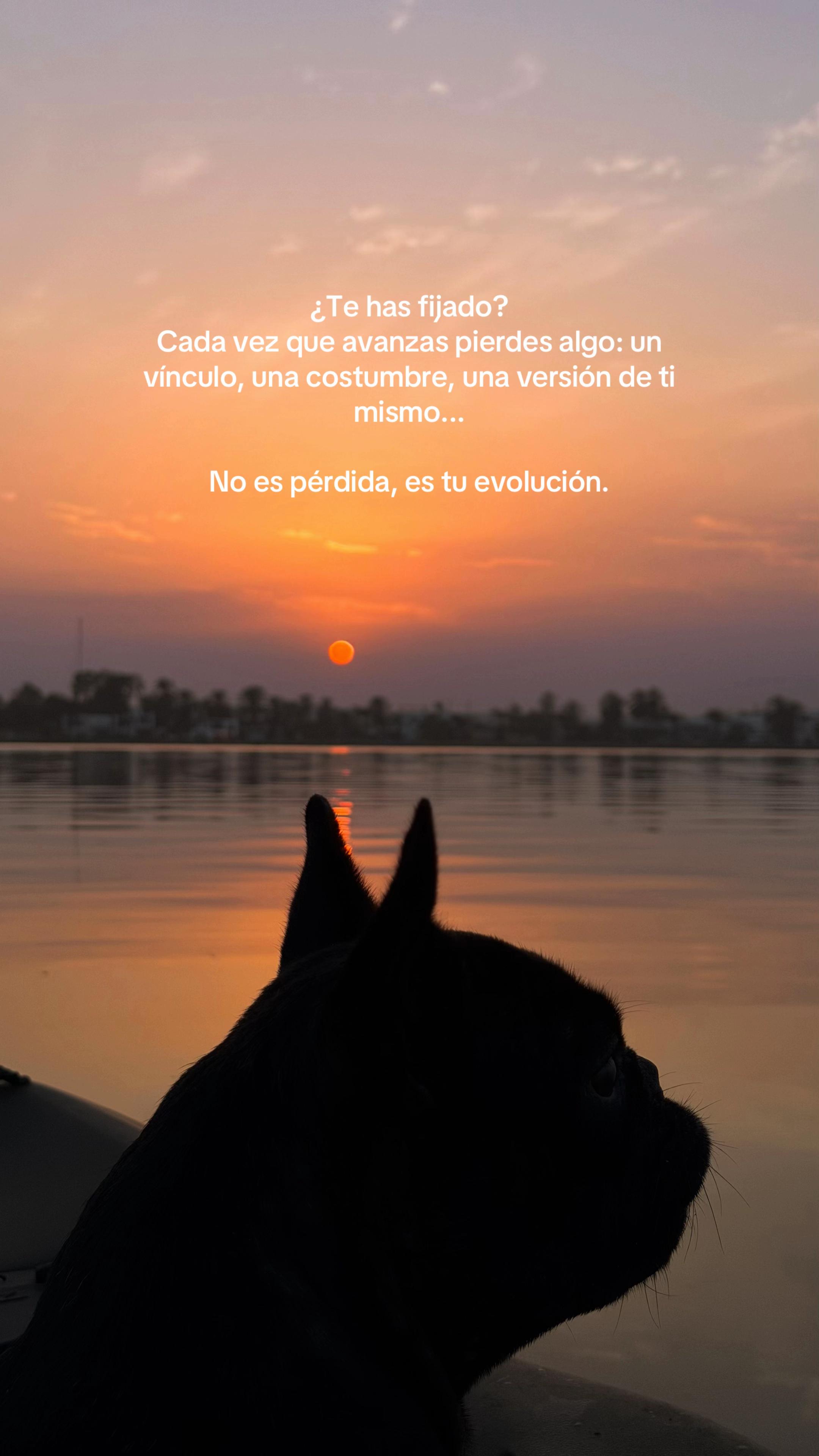 @Raúl Arbulú