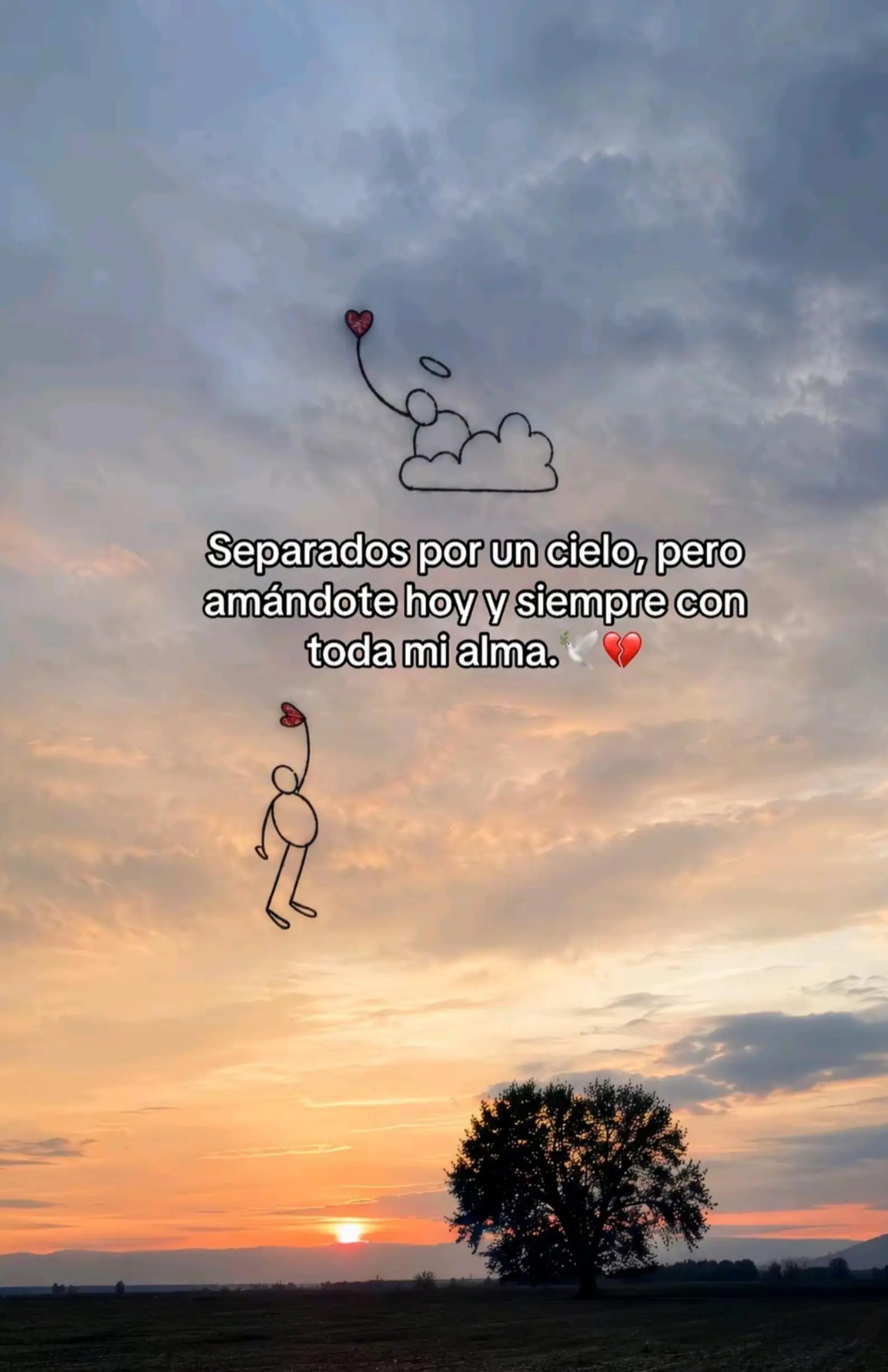@༺☆𝒟𝓊𝓁𝒻𝓎☆༻