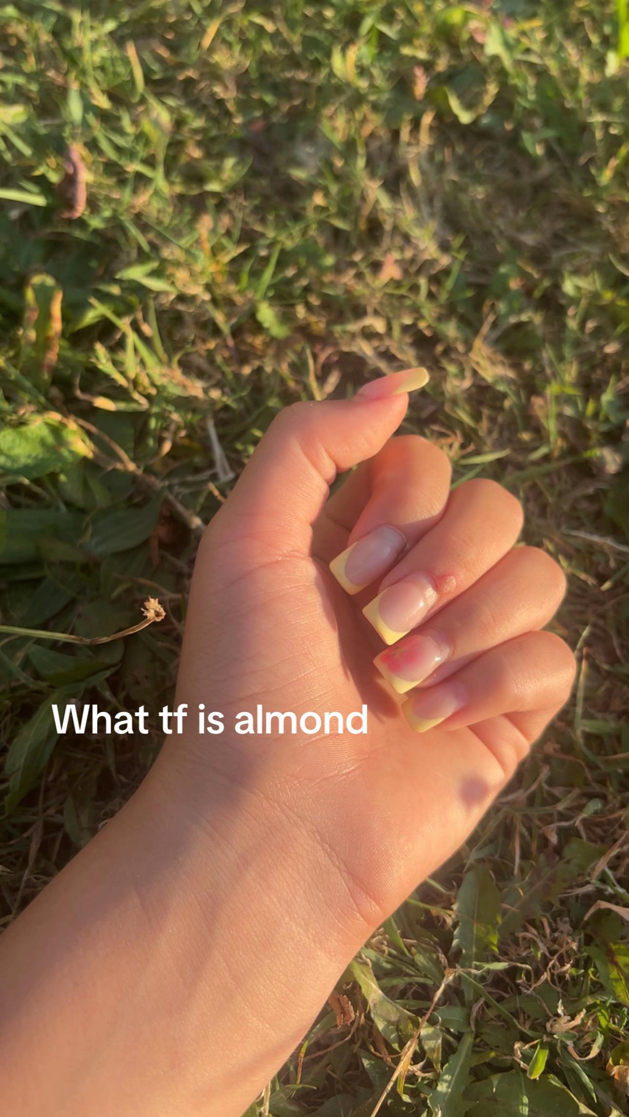 @LMT 🛍️🩷🫶🏼