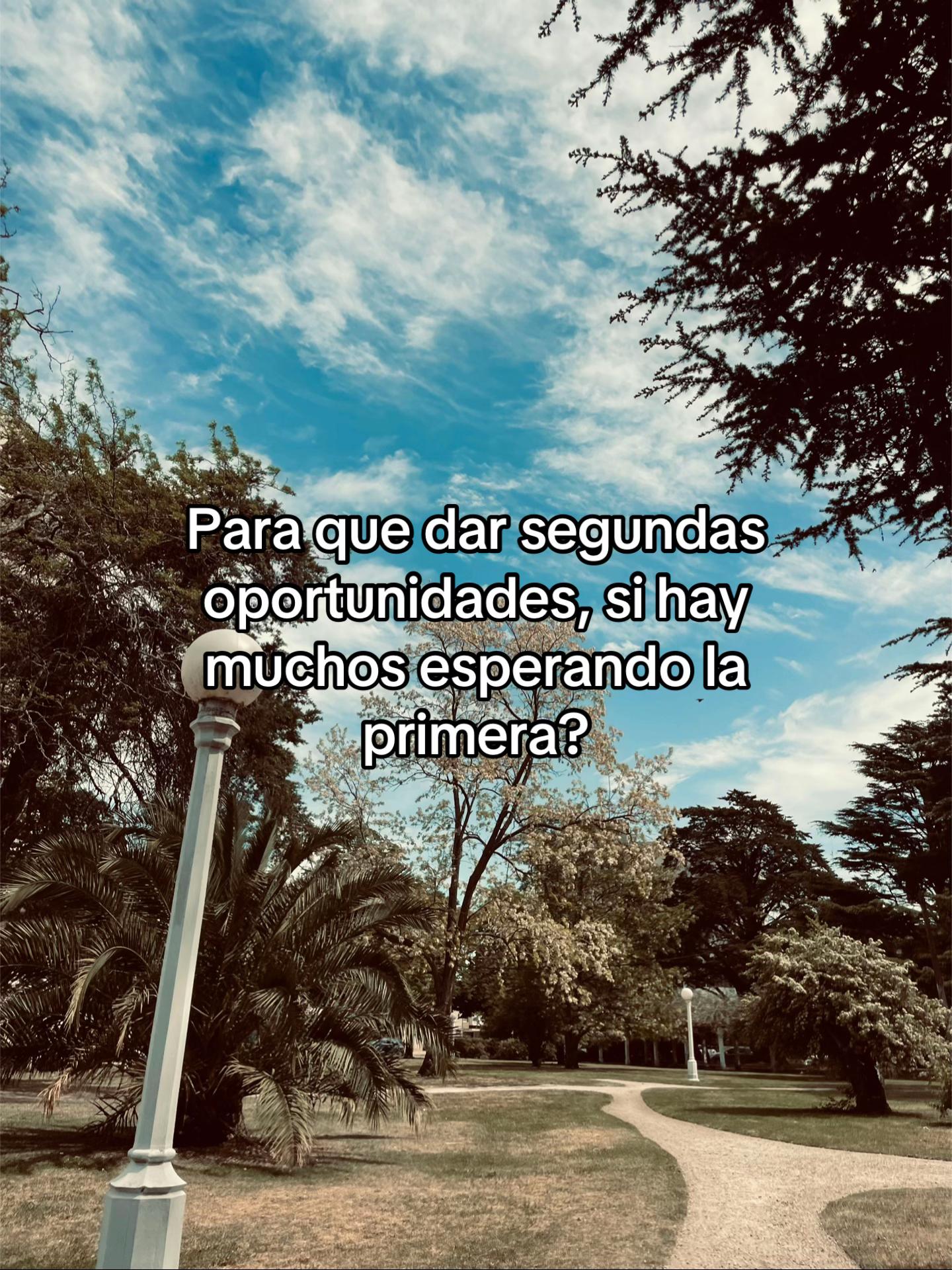 @user24001489059