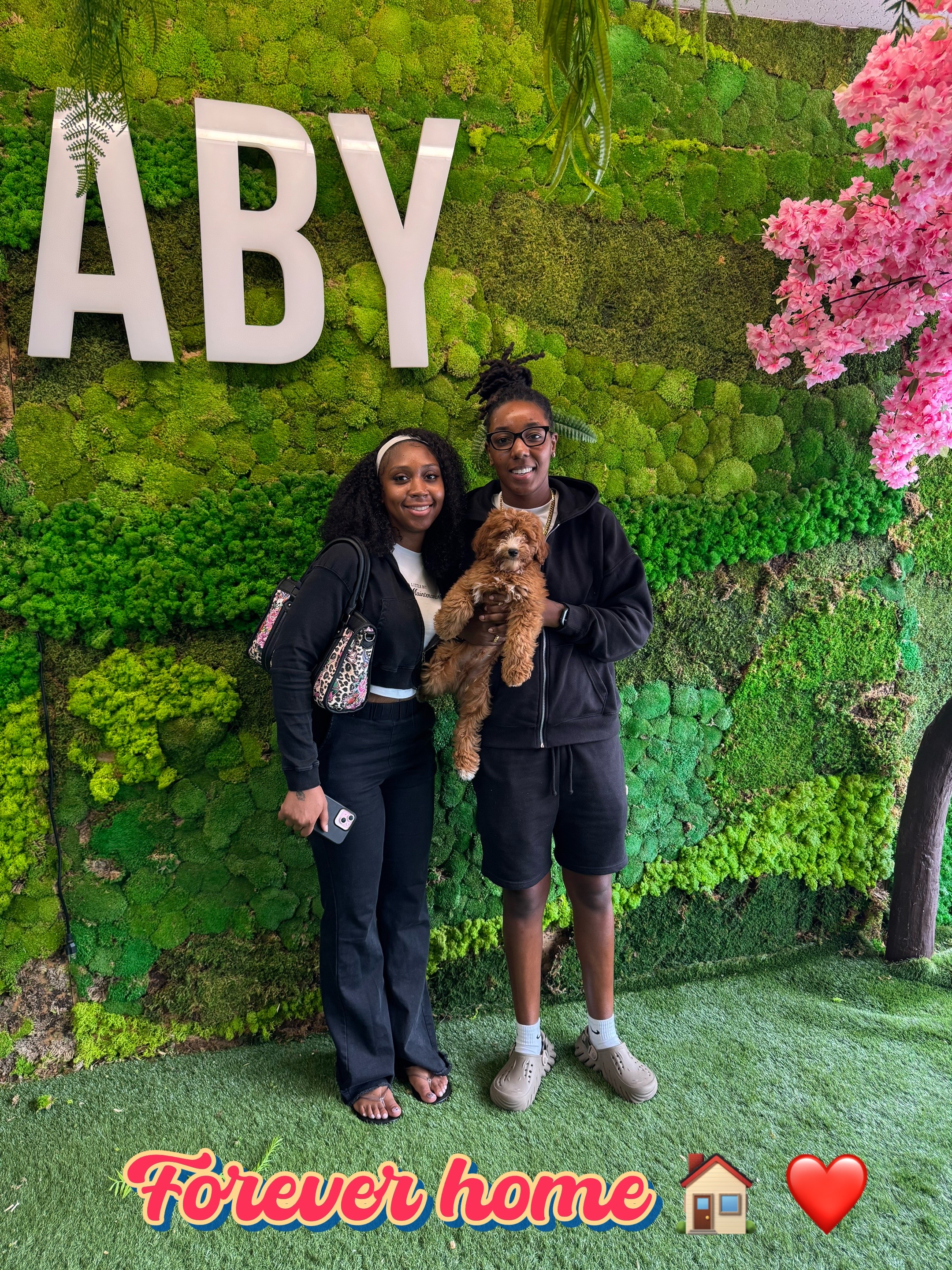 @FurbabyPuppies