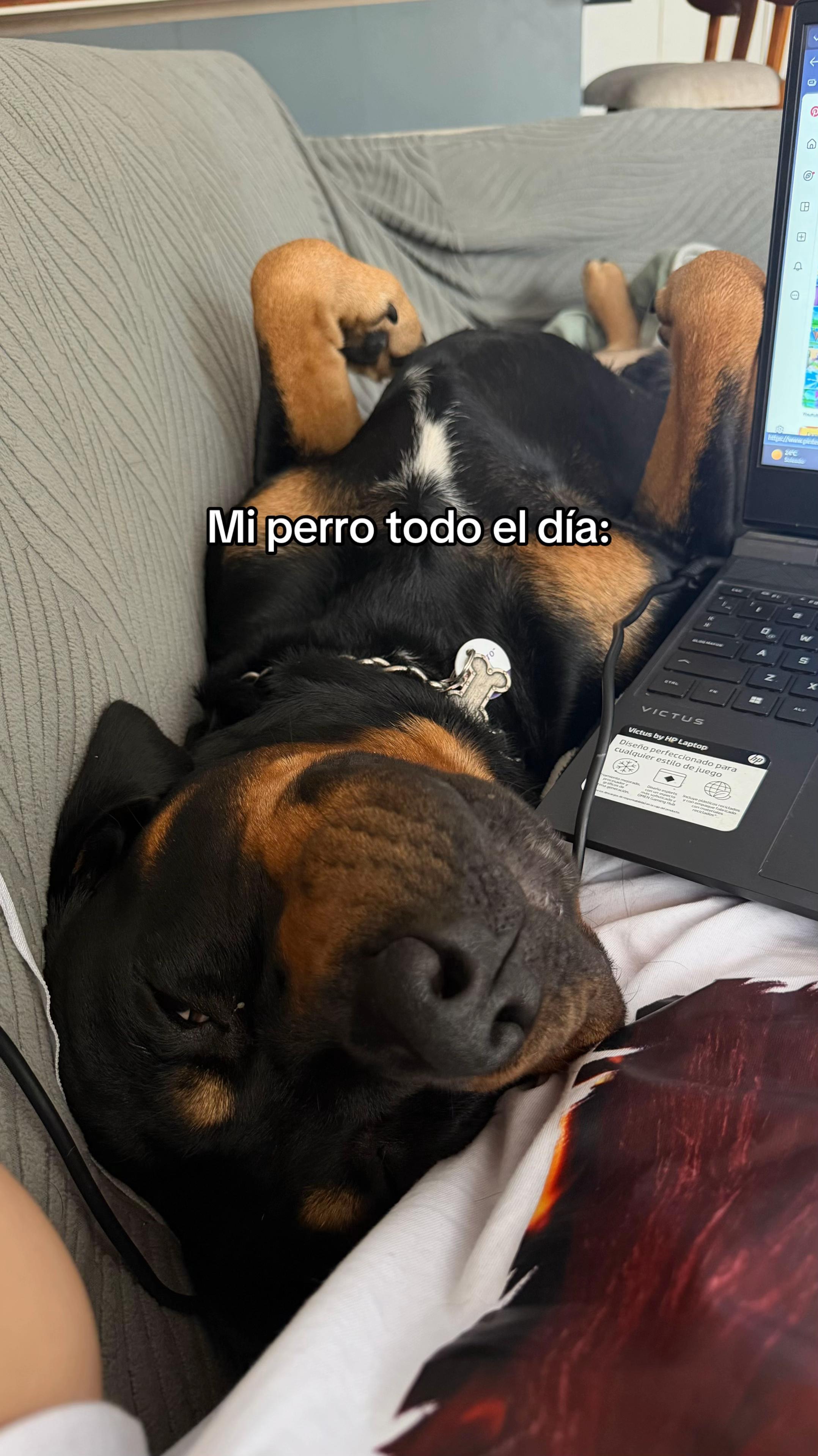 @&ntilde;engoonetto