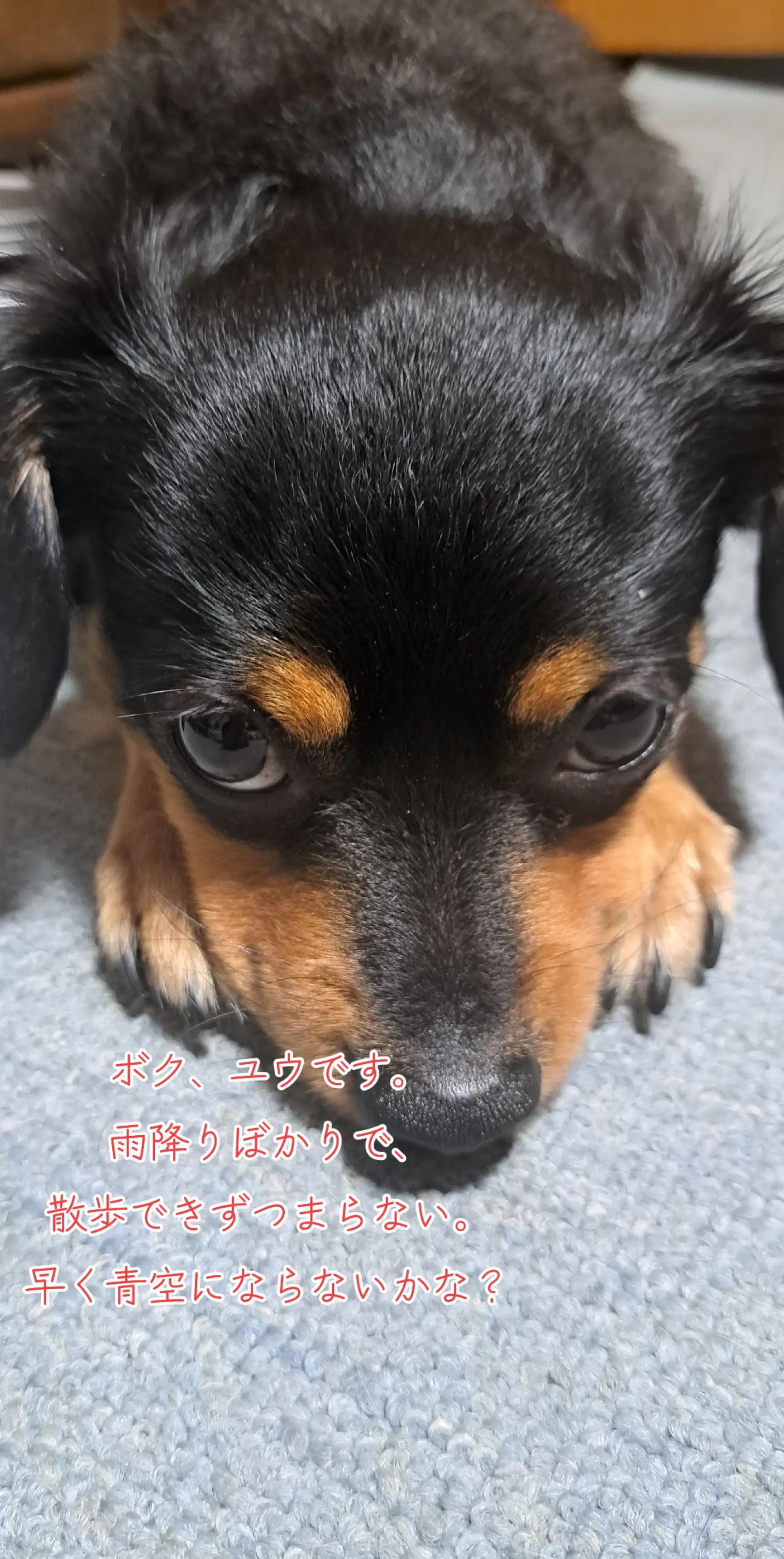 @タケヤッコ
