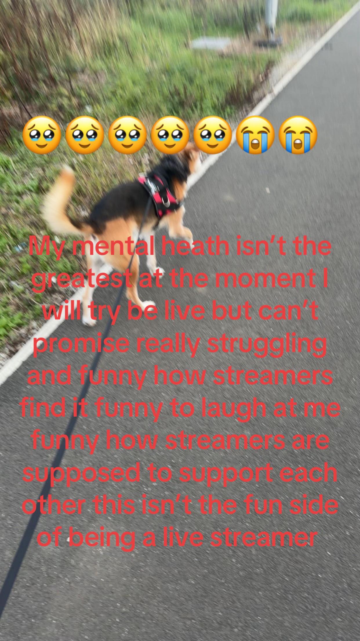 @Chlo_games🦋🦉🐼🐢☯️