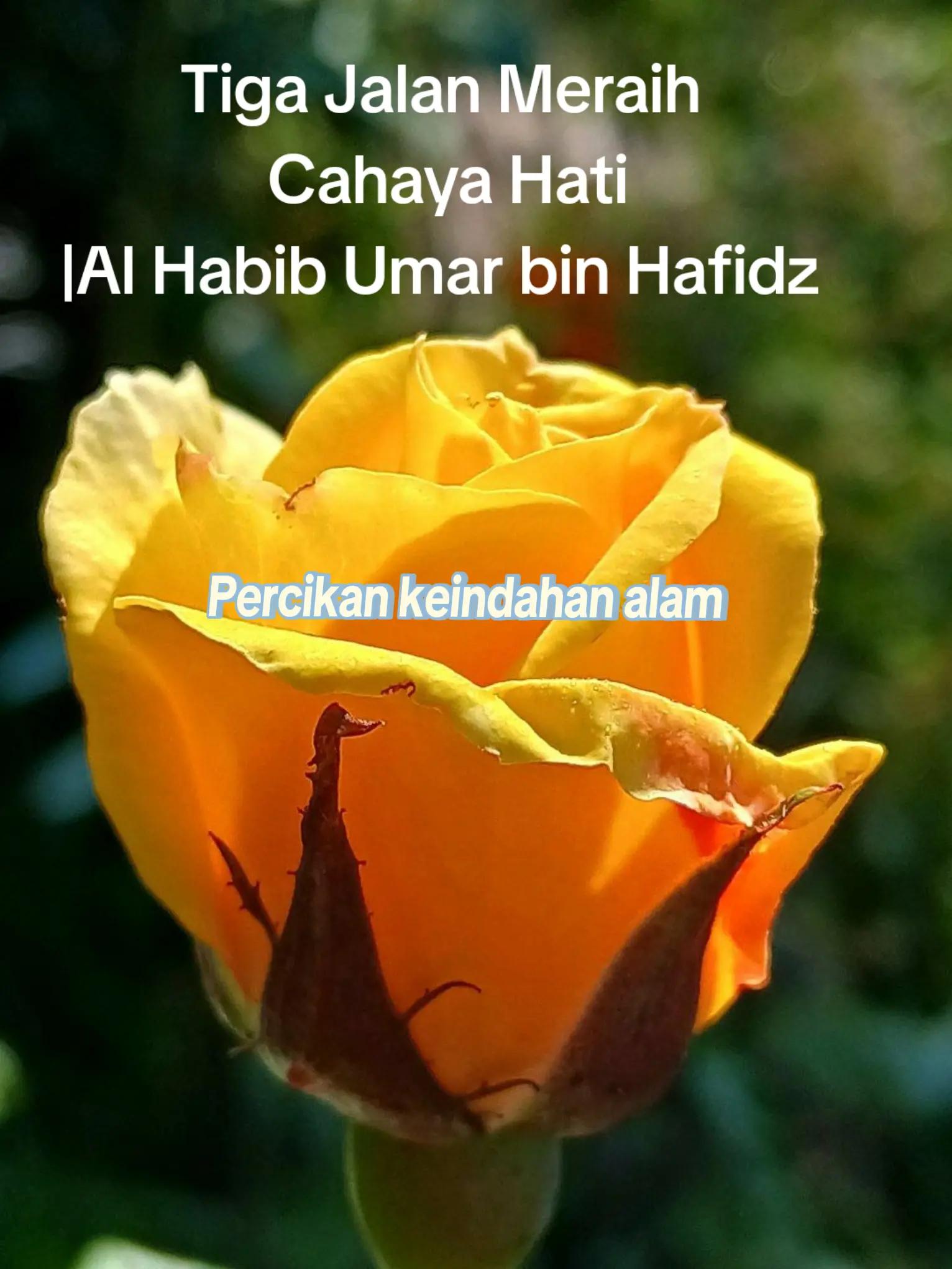 @Umy Khairunnisa Azzahra