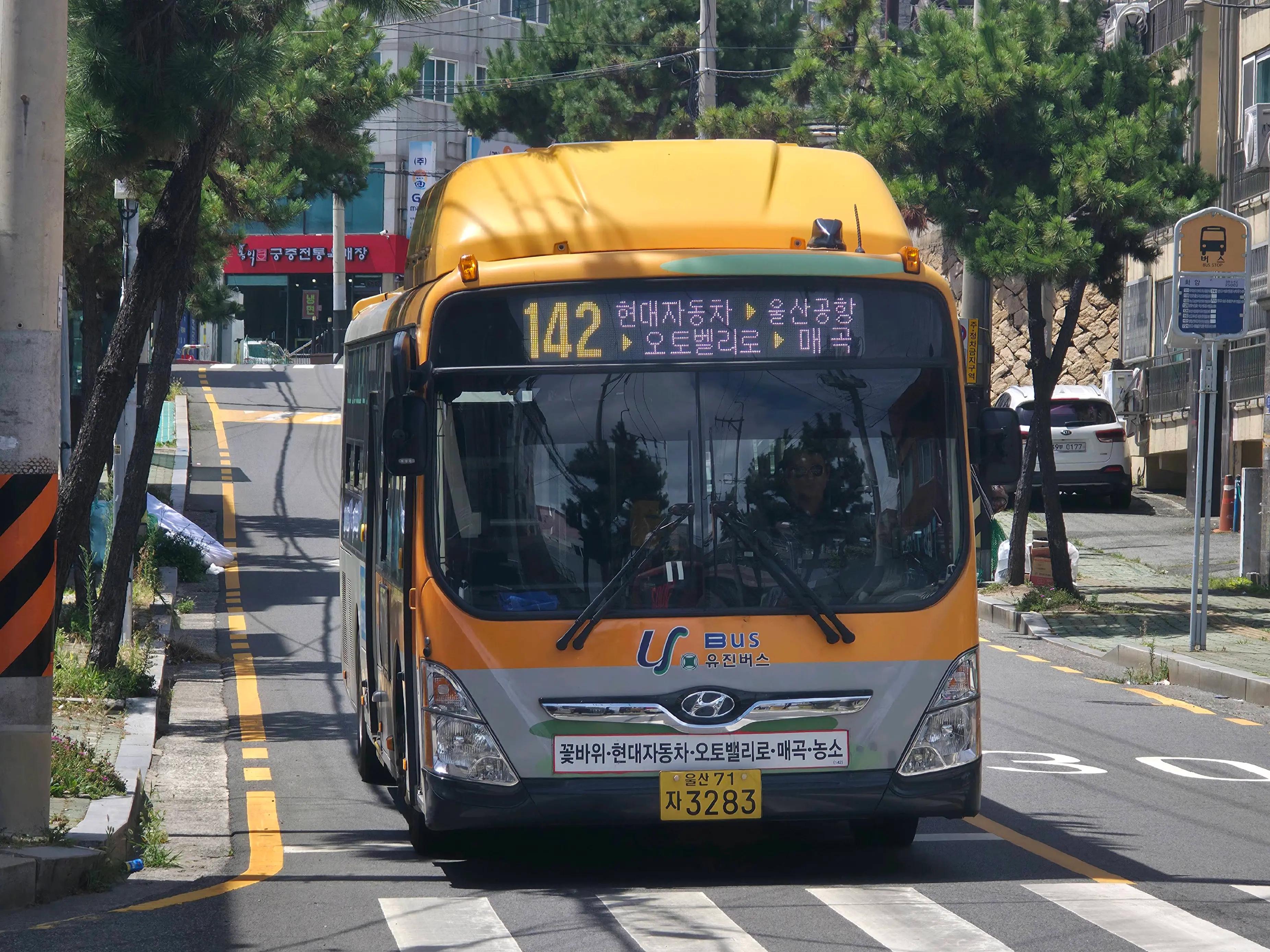 @울산482