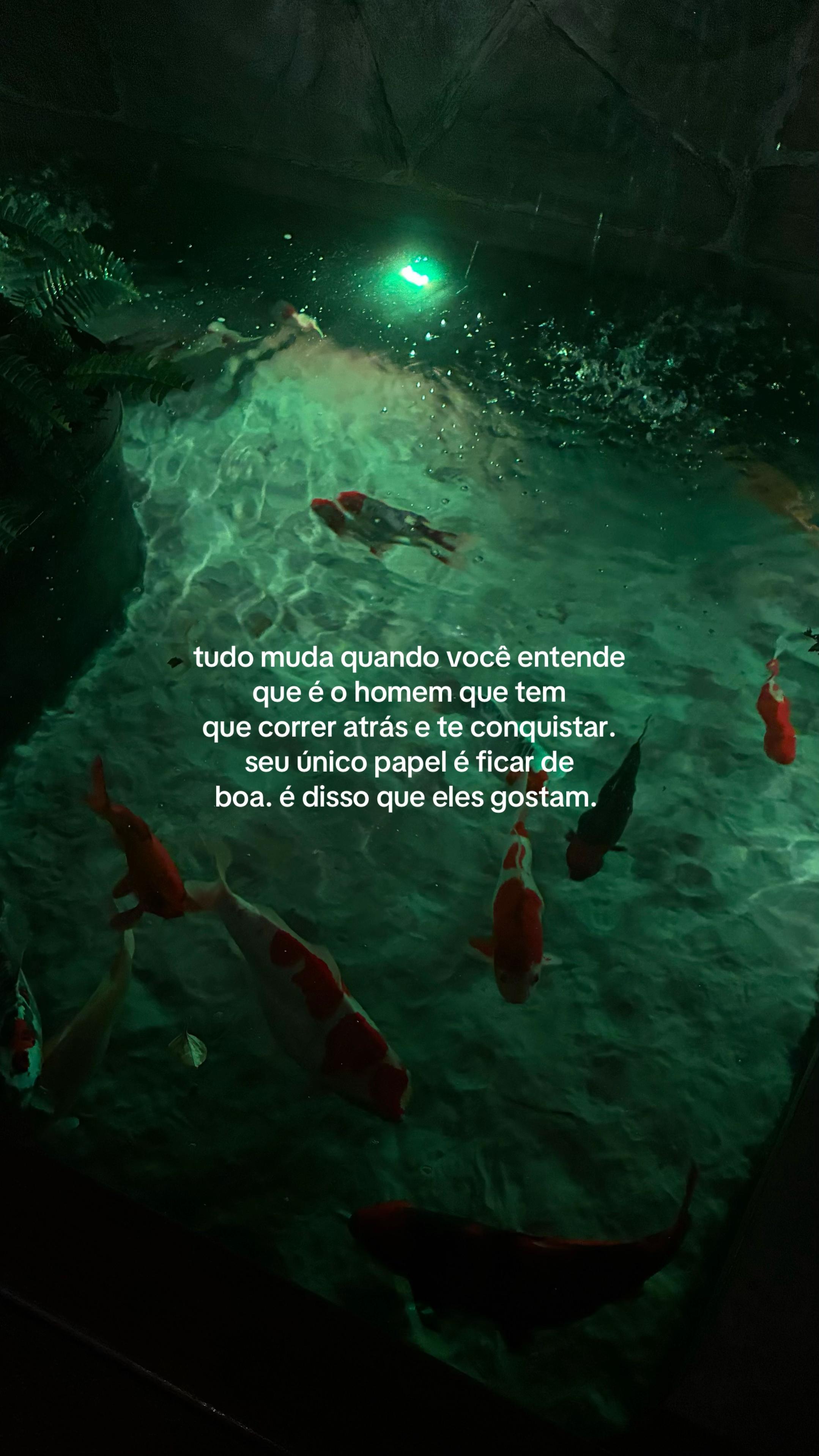 @GOGA
