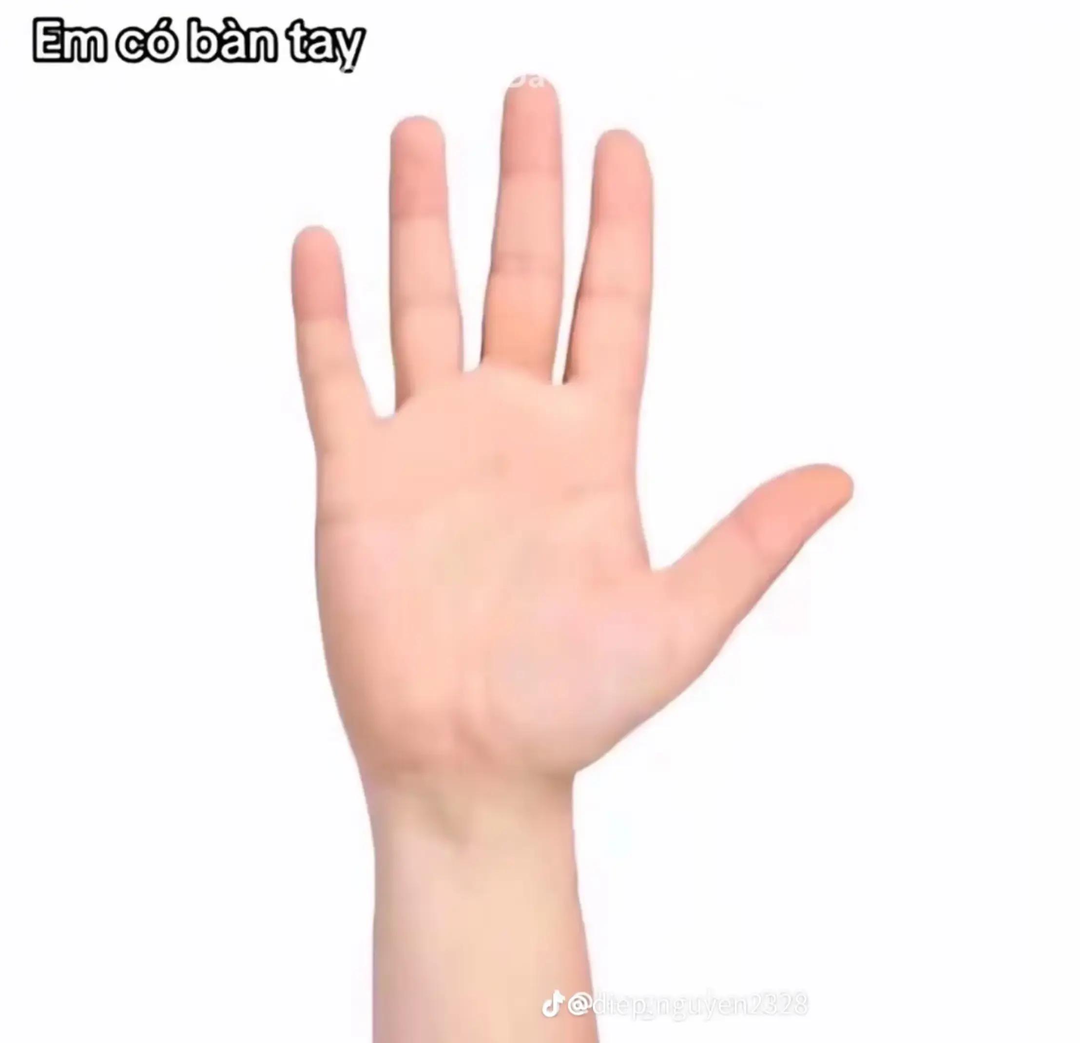 @bmyyy
