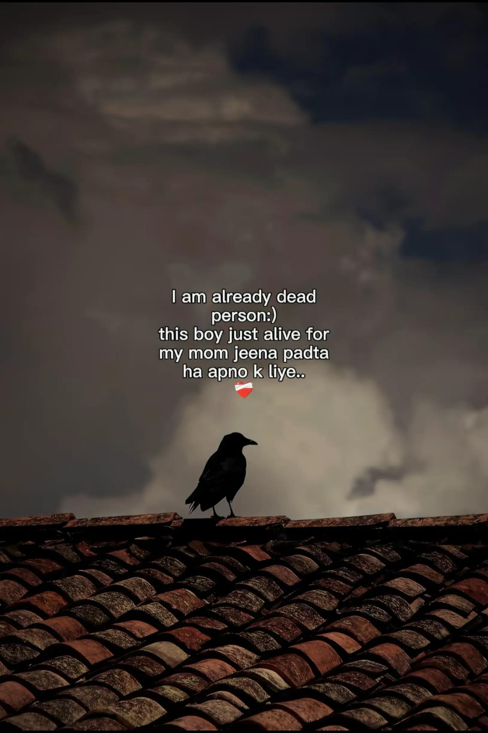 @𝗦𝗔𝗥𝗞𝗔𝗥 ♛