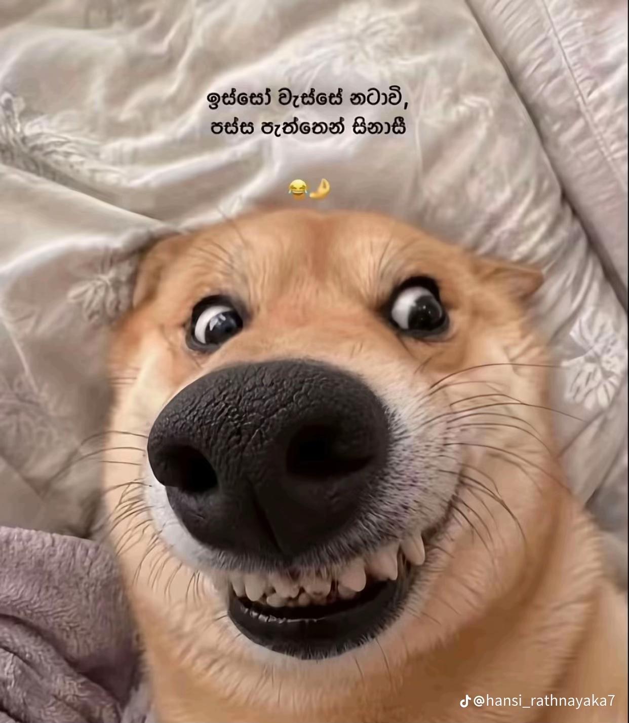 @asanthiraja33