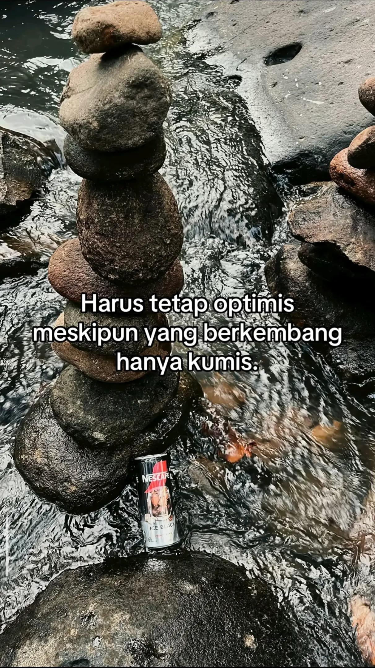 @LYY