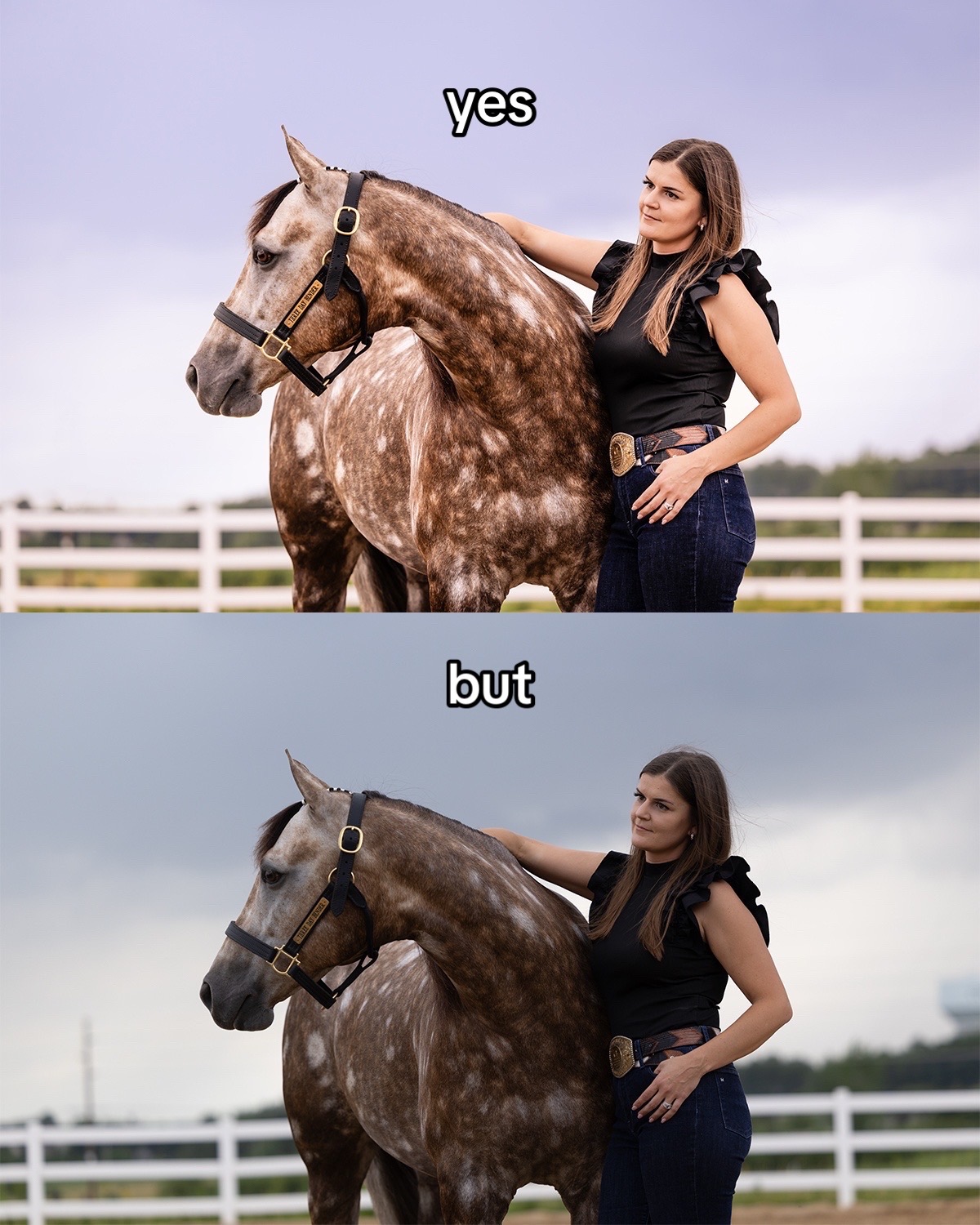 @Tisha 📸🦄 Equestrian&ensp;Photog