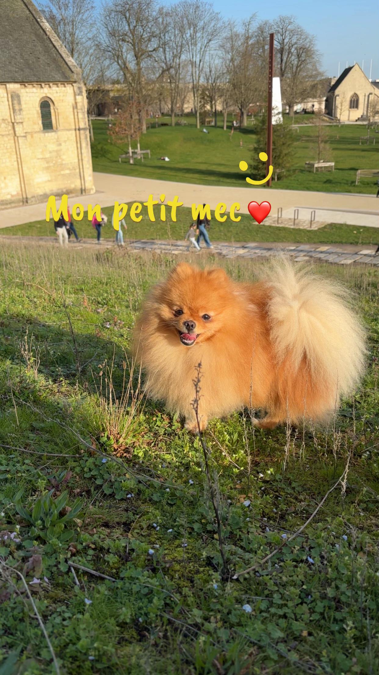 @🍁M&Delta;tieu &Pi; T🇫🇷