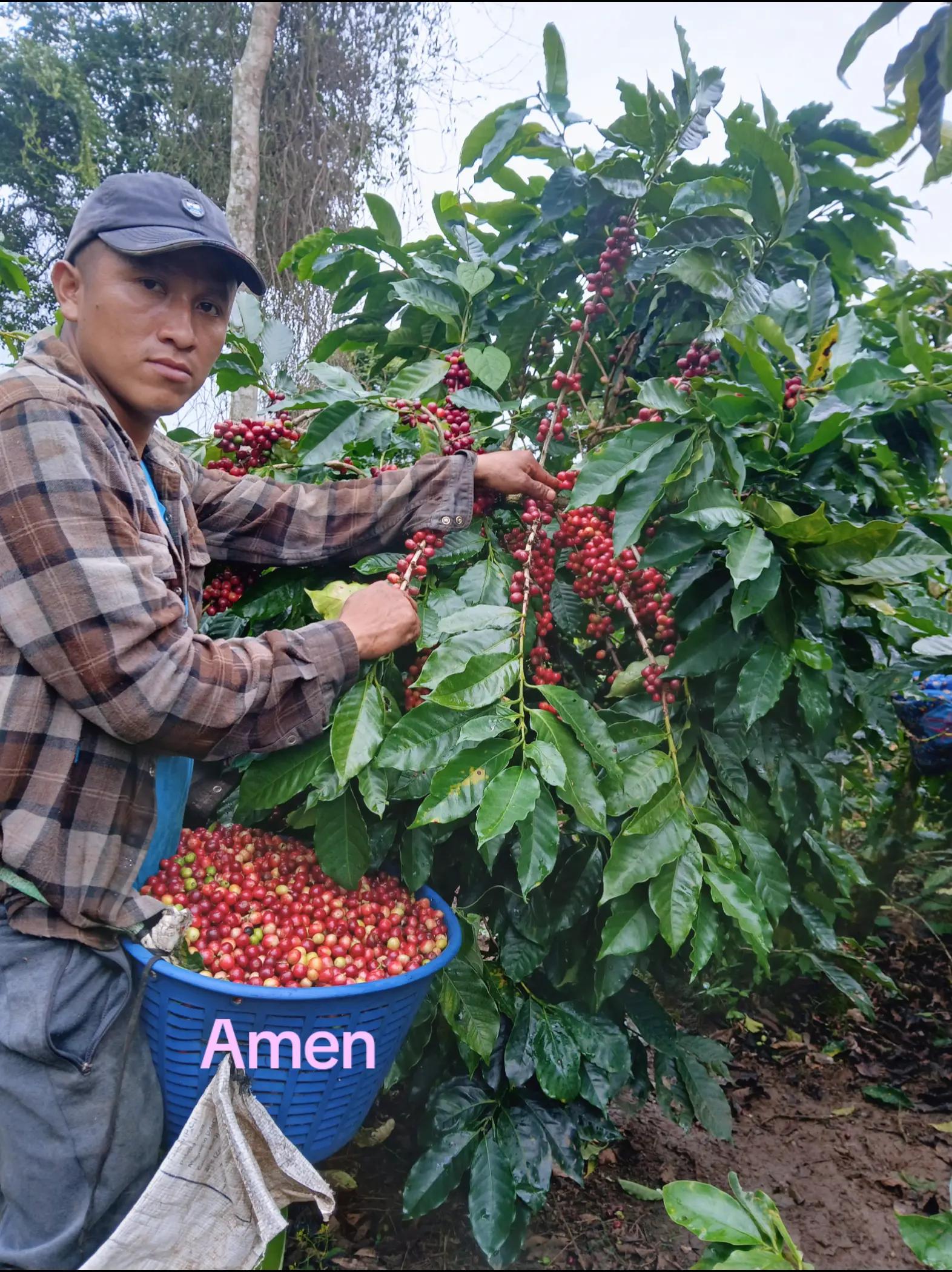 @Nicaragua