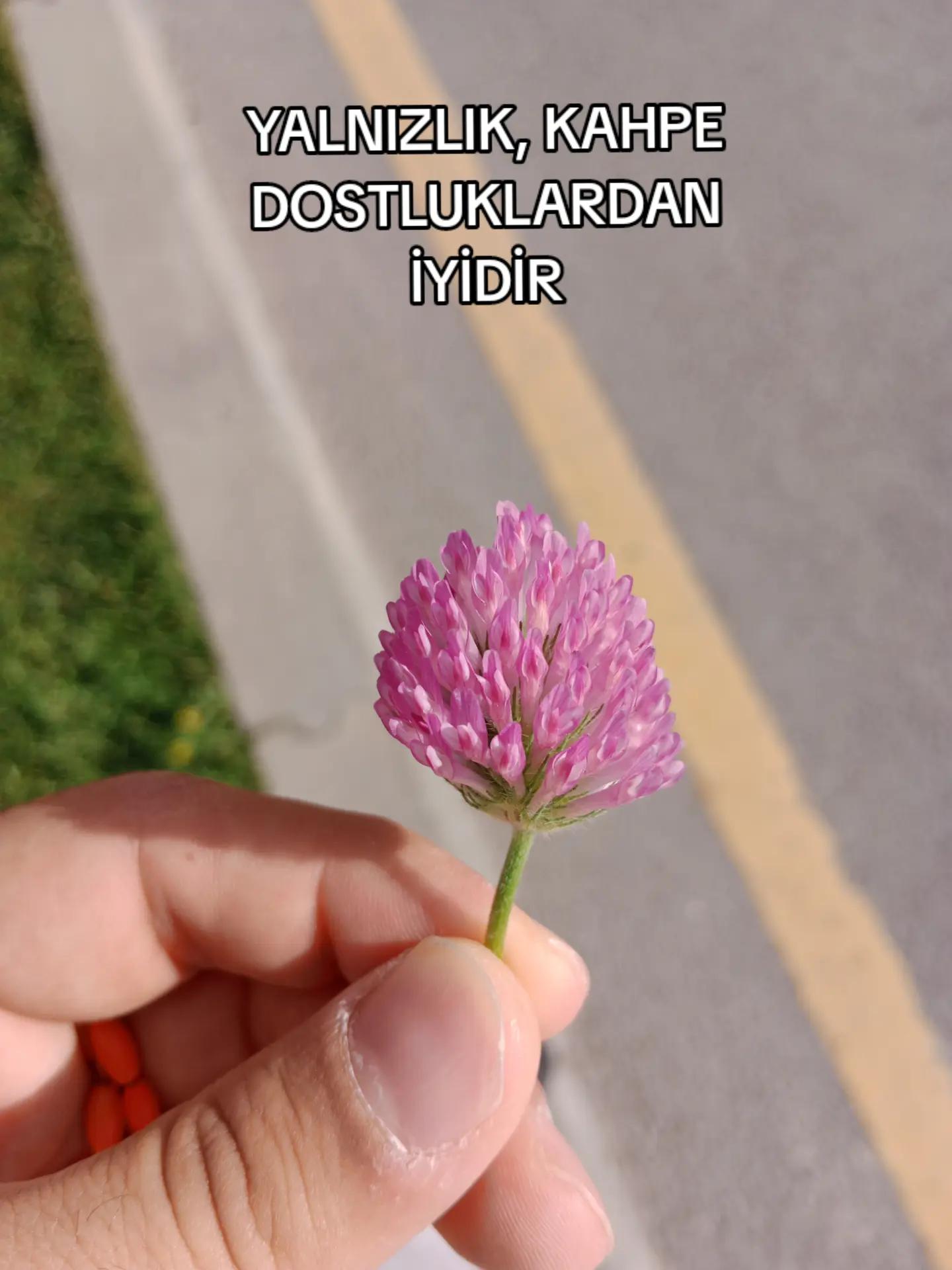 @v😎🇹🇷🇹🇷🇹🇷