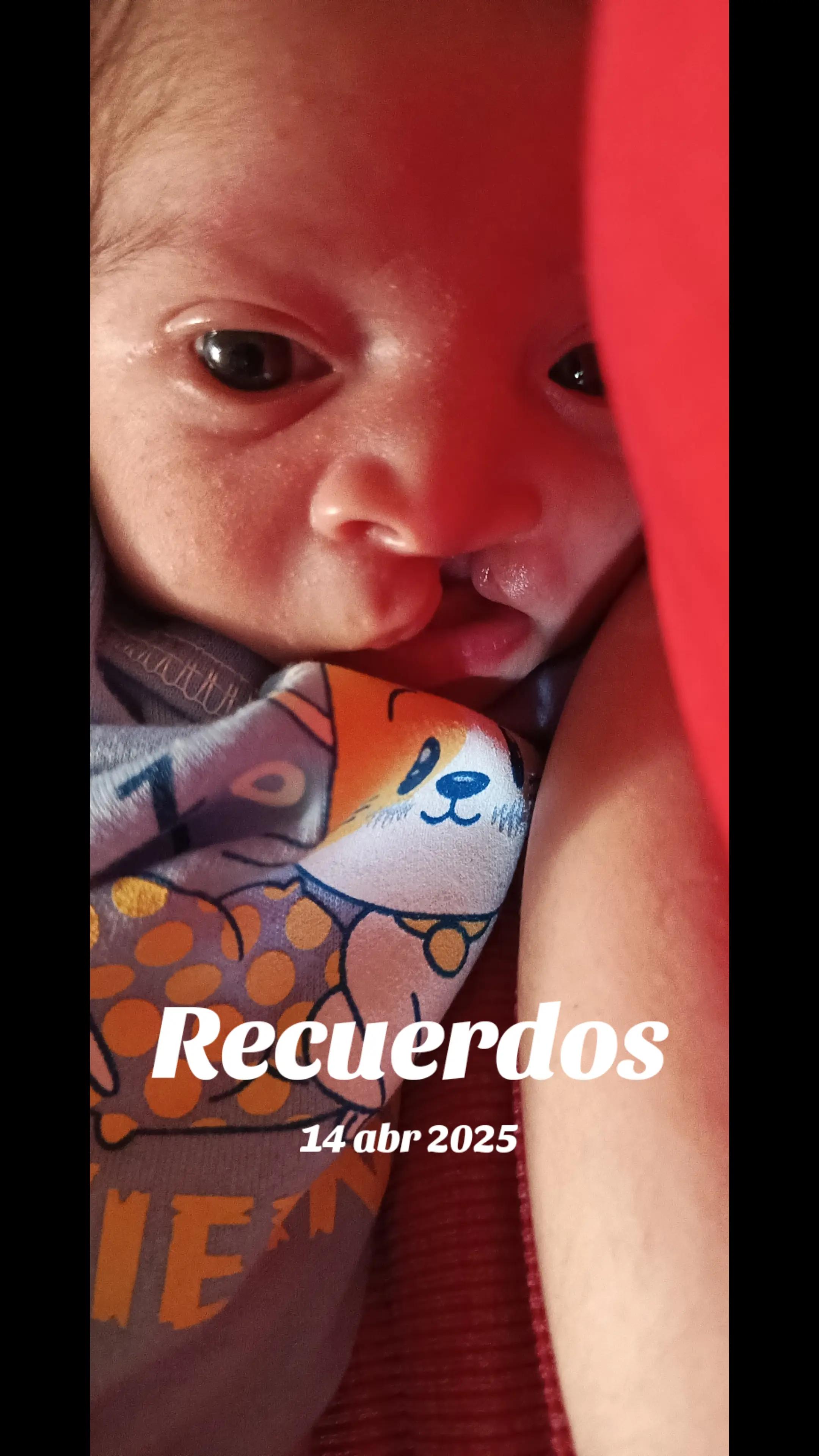 @Analiesse Mar&iacute;n🇻🇪