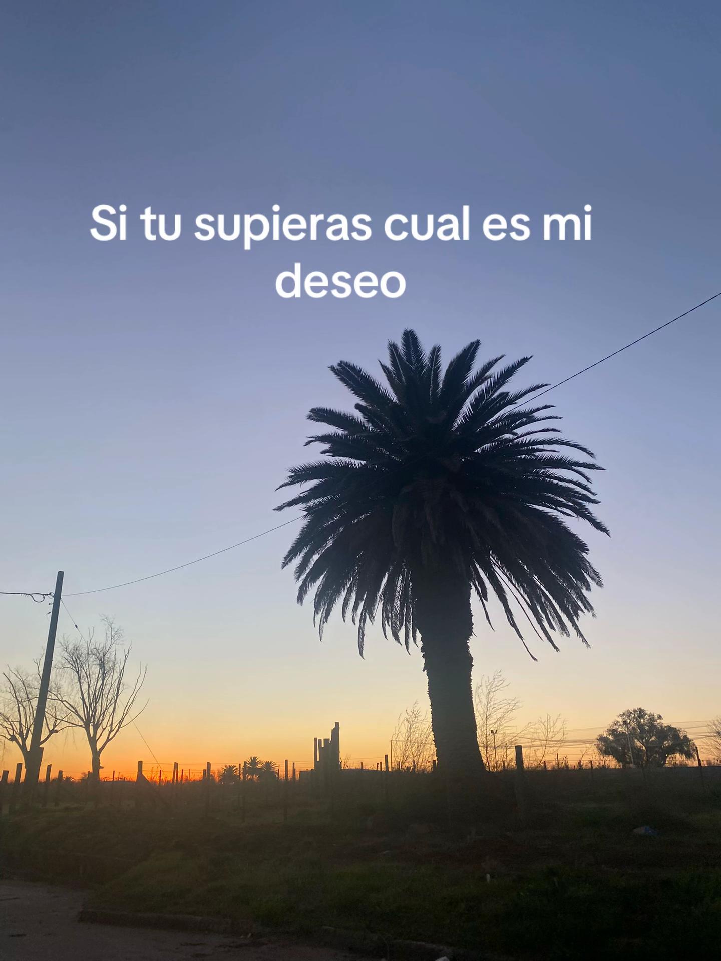 @luisii