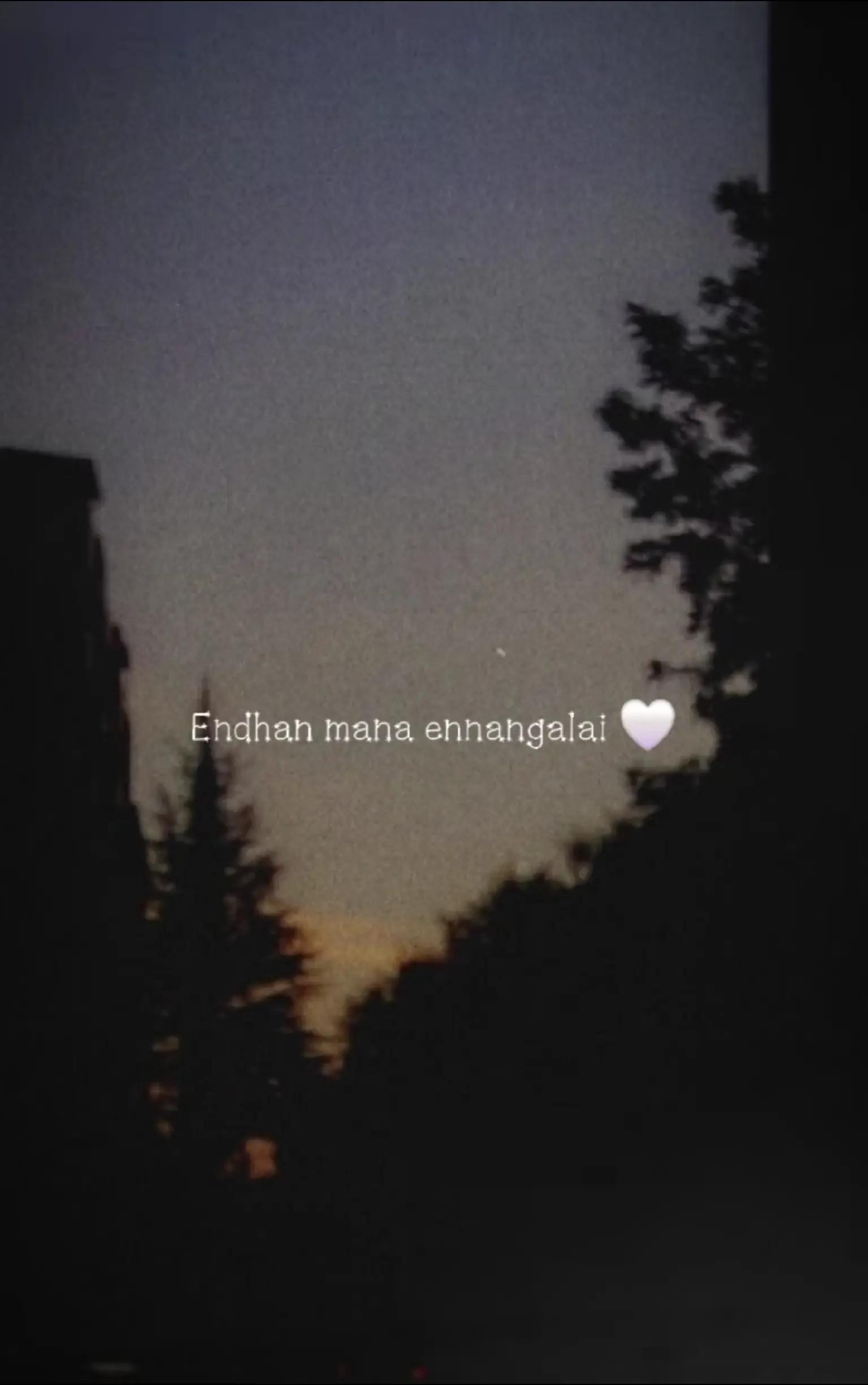 @๐คsaras๐ค