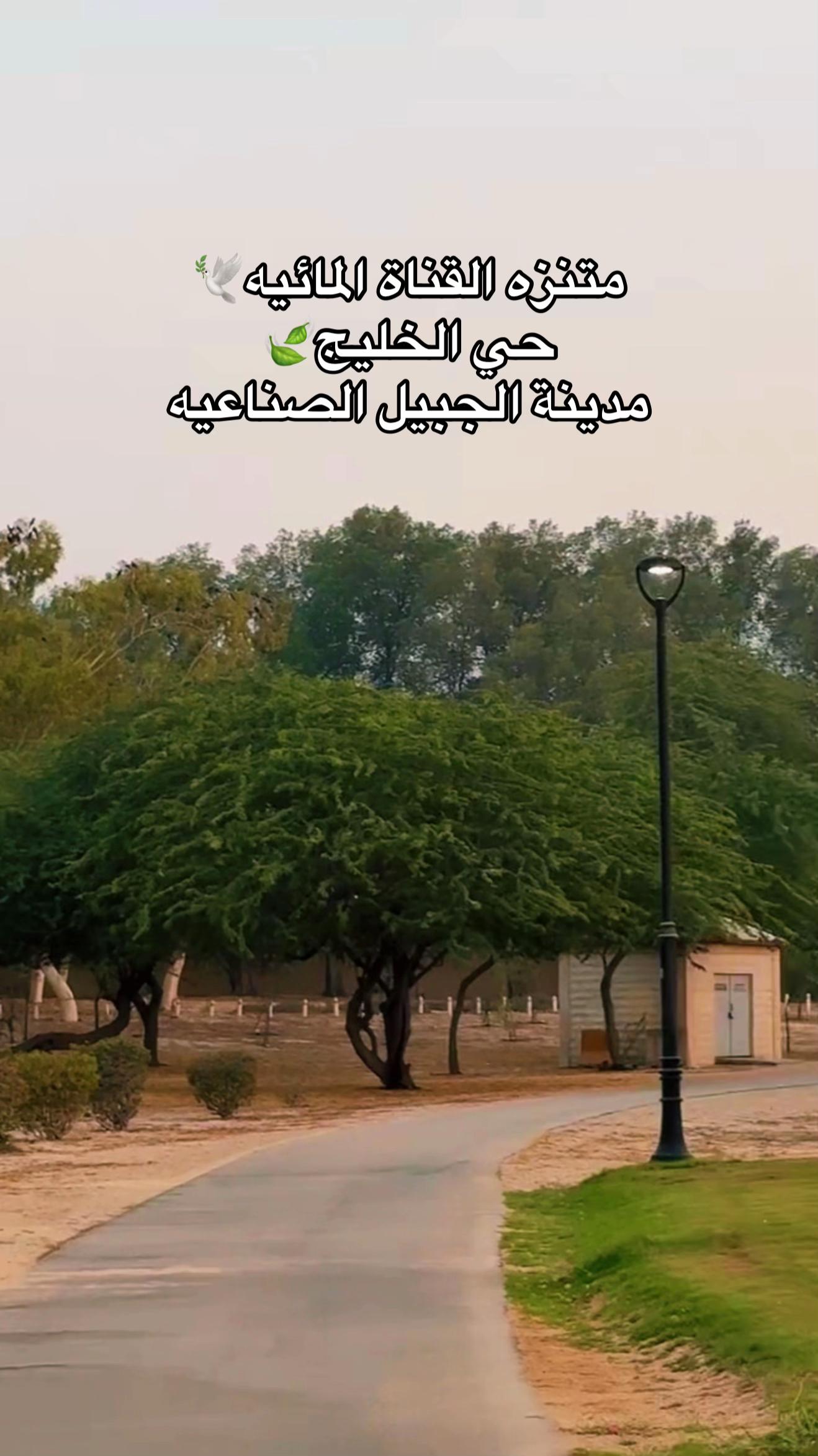 @ميشان دوت&bull;⭐️