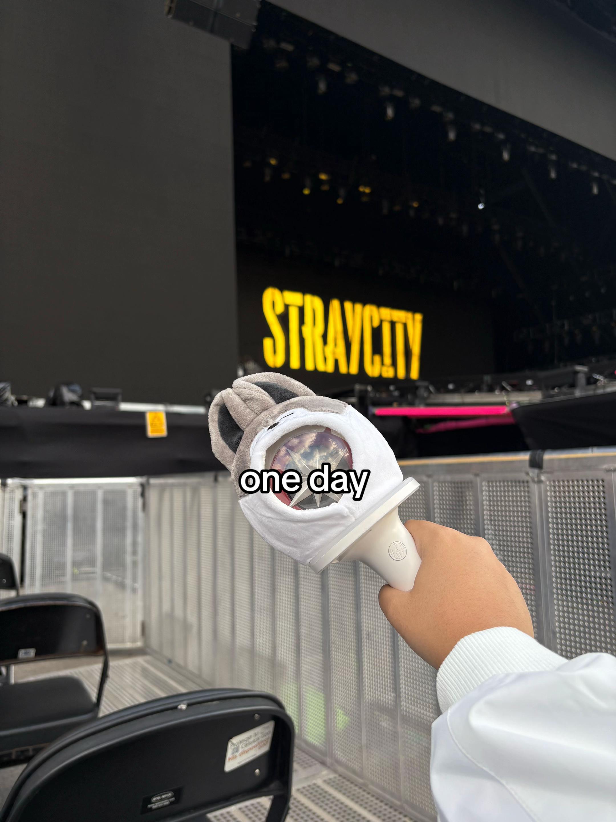 @Bang 🐺
