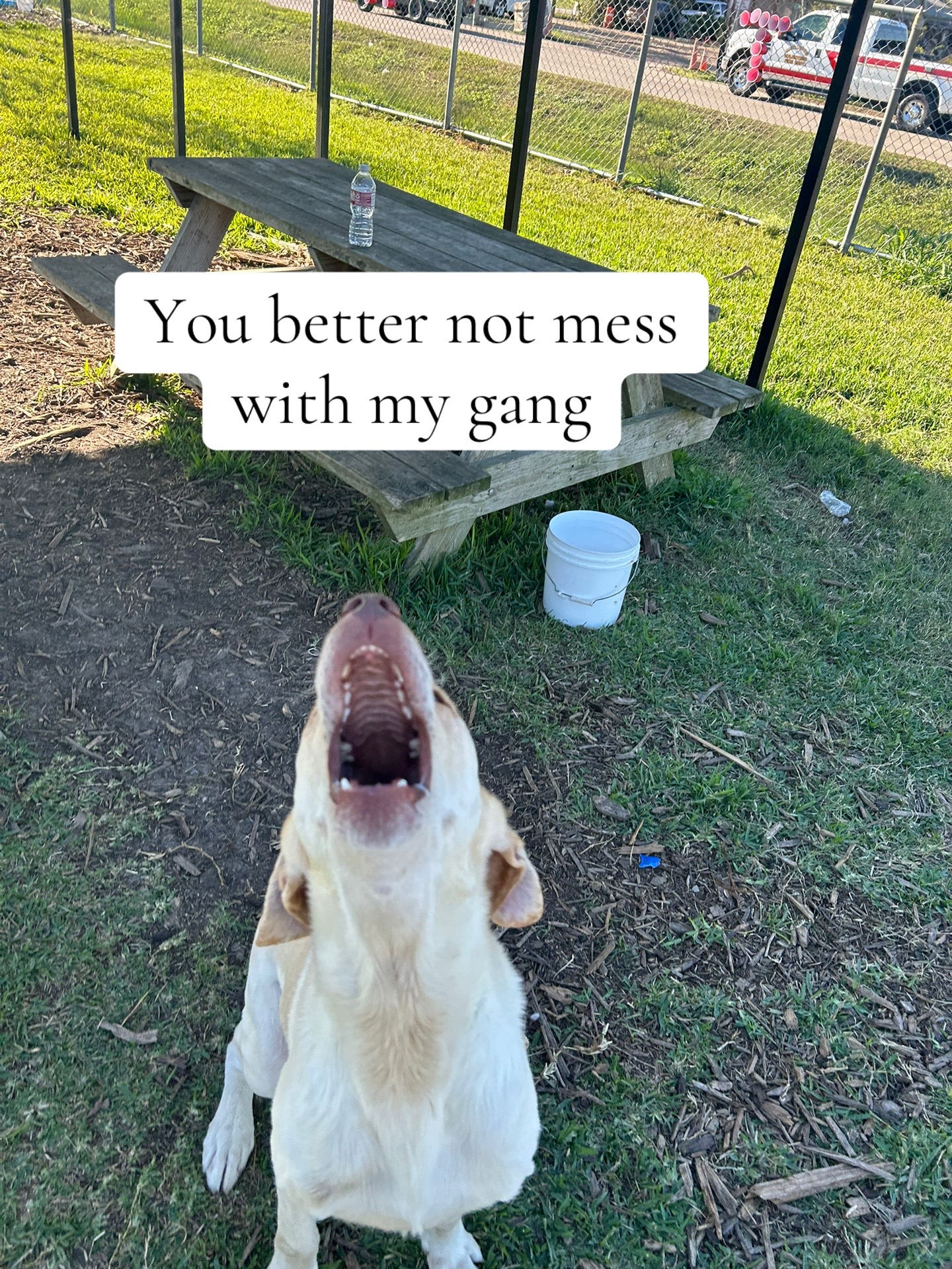 @Julia