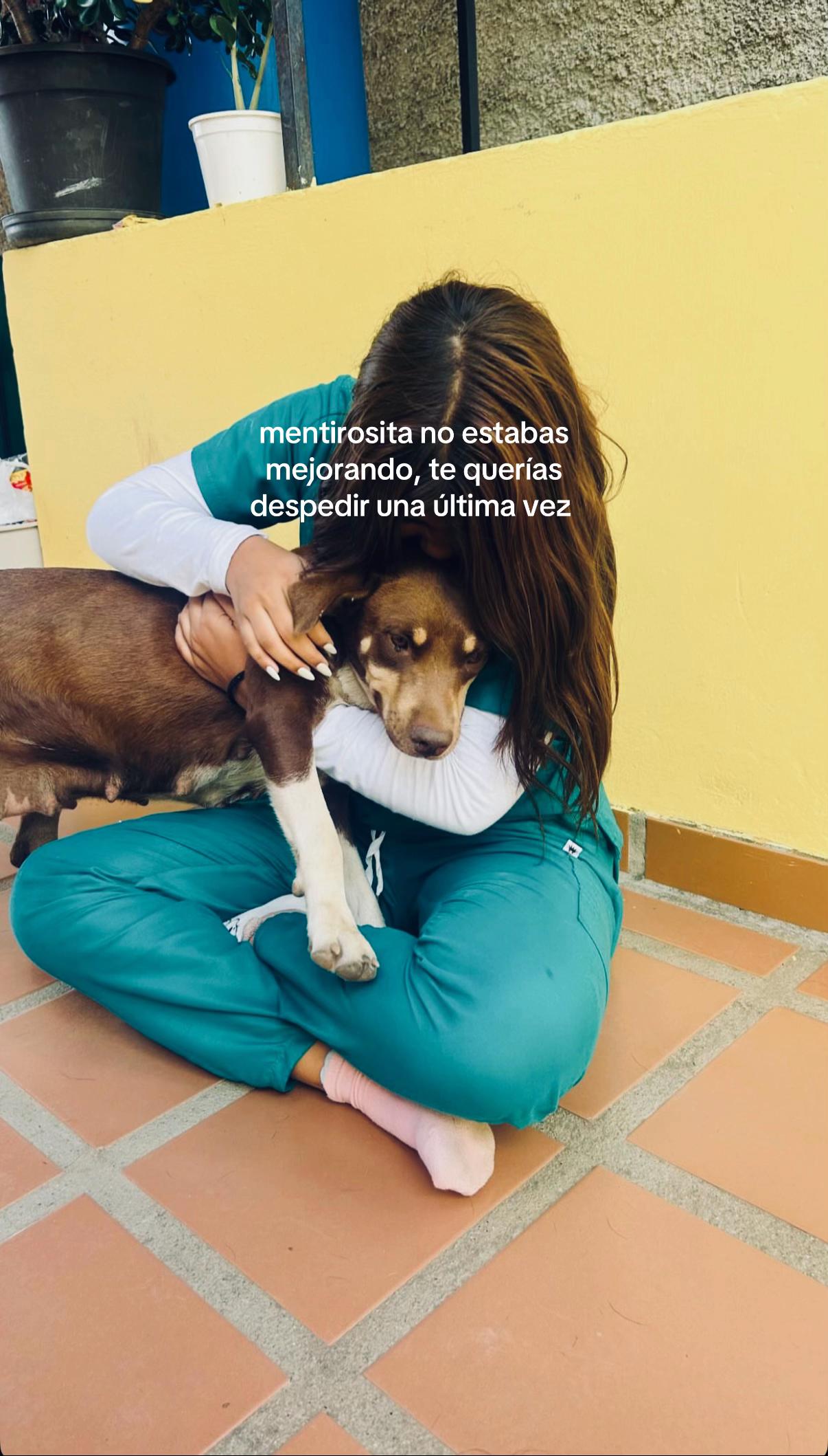 @darii_aray🩵