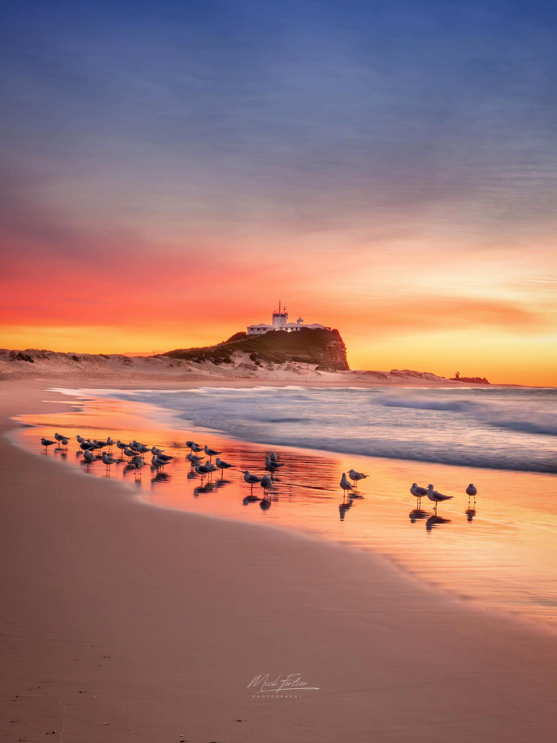@Mick Fortier Photography