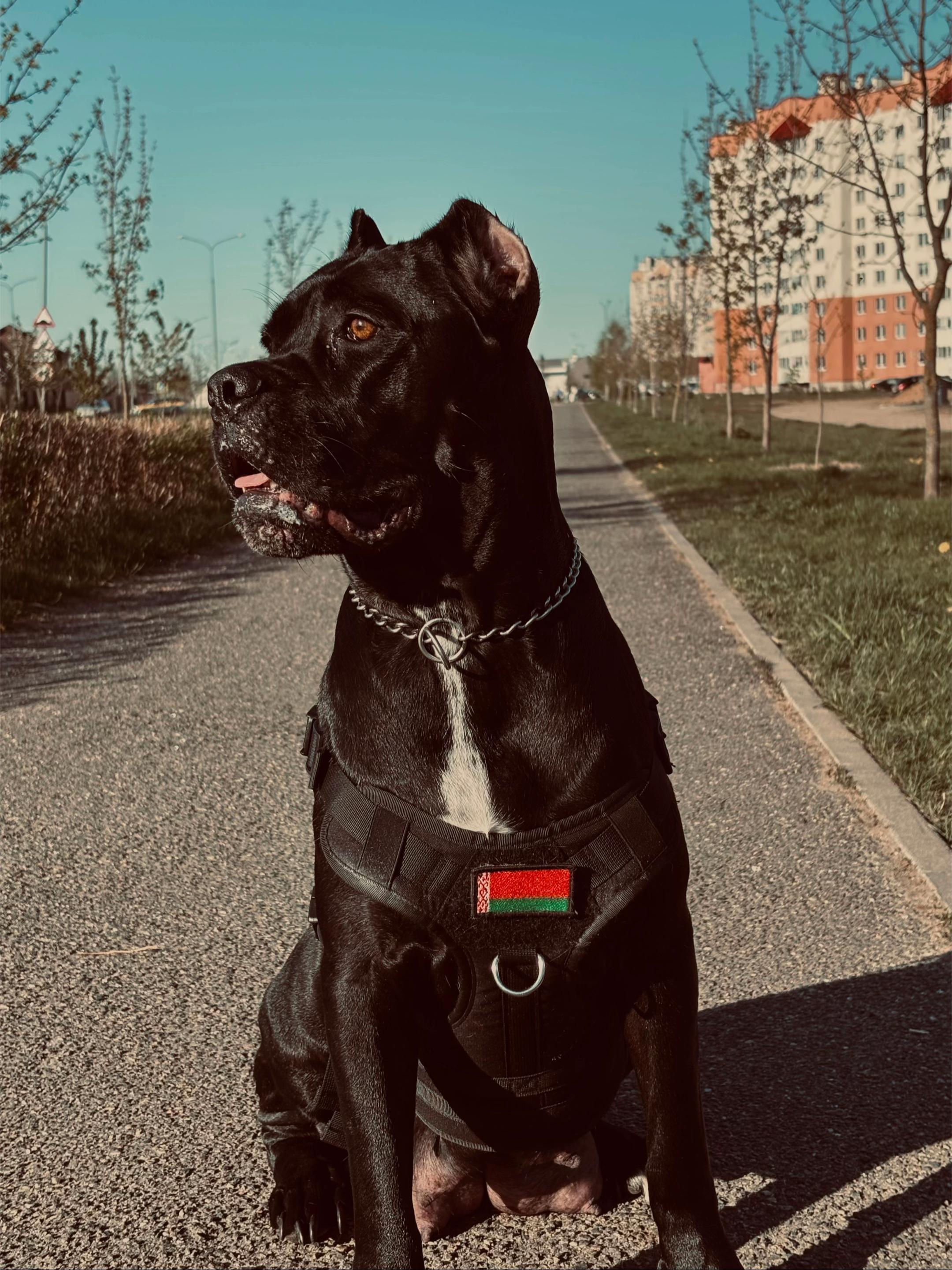 @𝐌𝐀𝐑𝐂𝐈