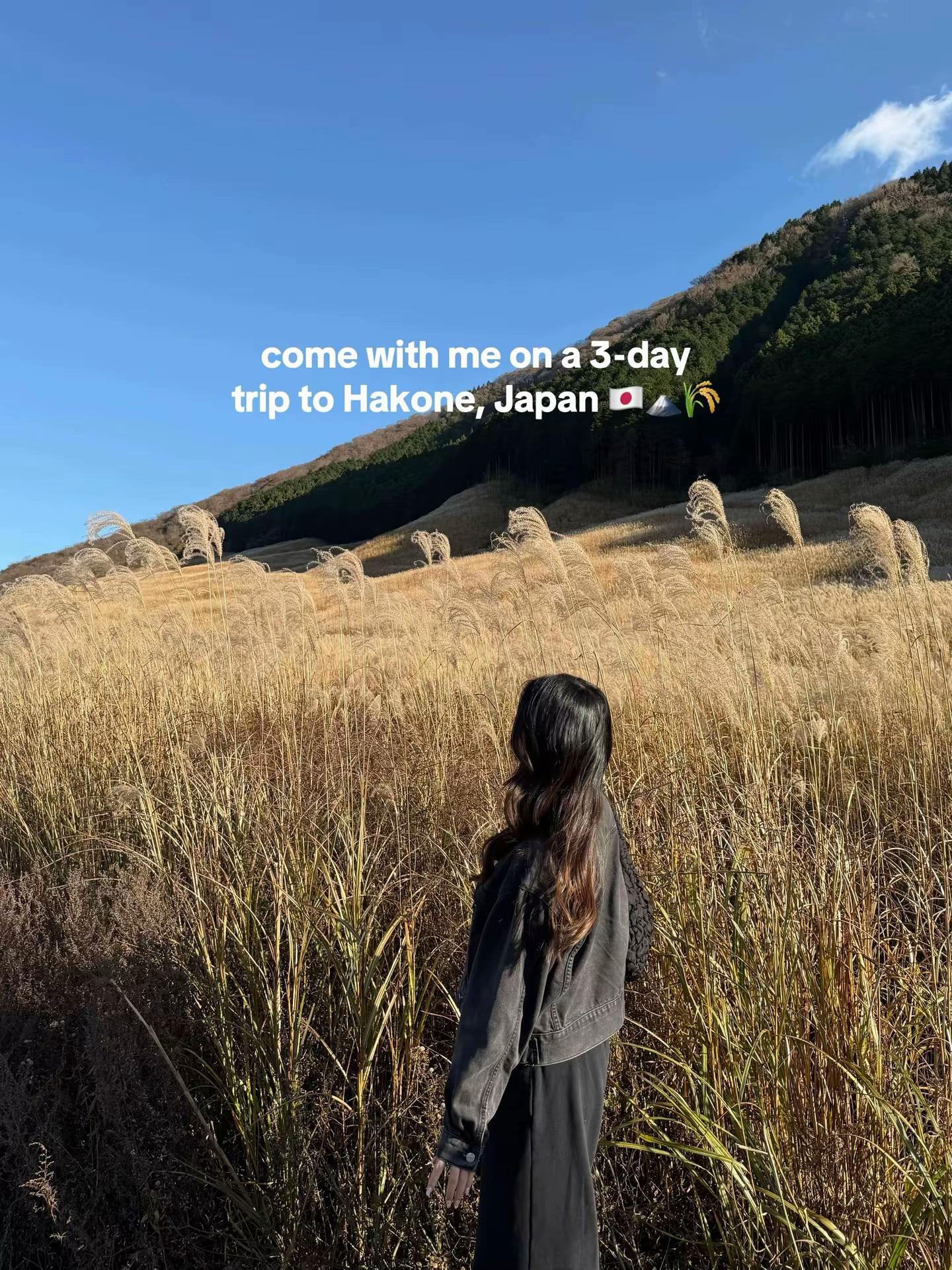 @allybaobelly