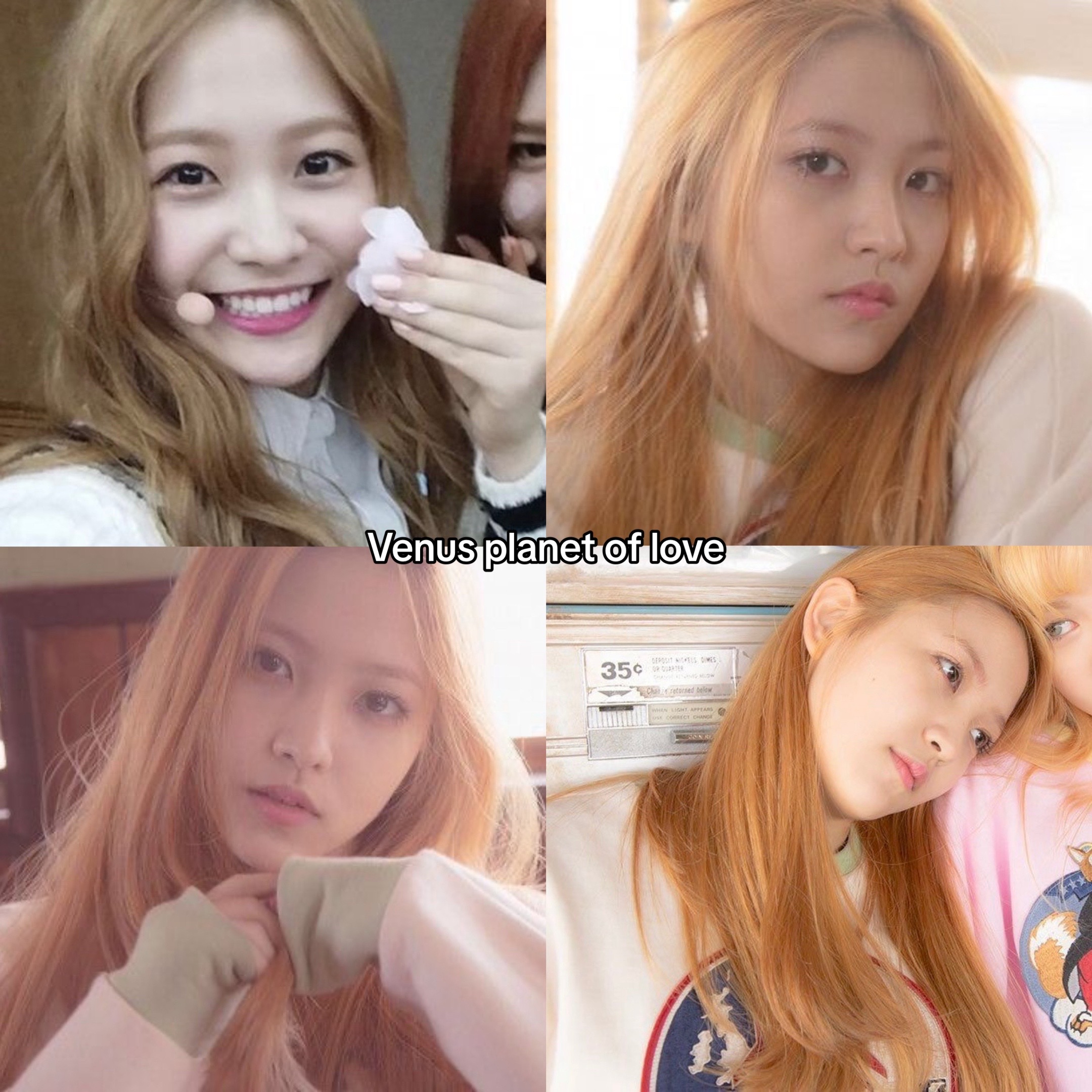 @🕷️