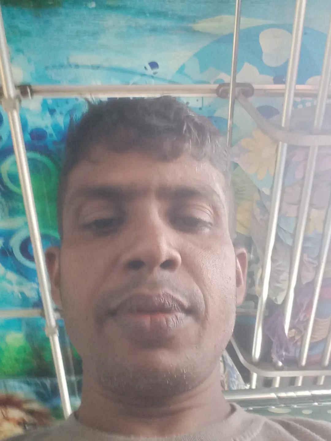 @seekkuseekku