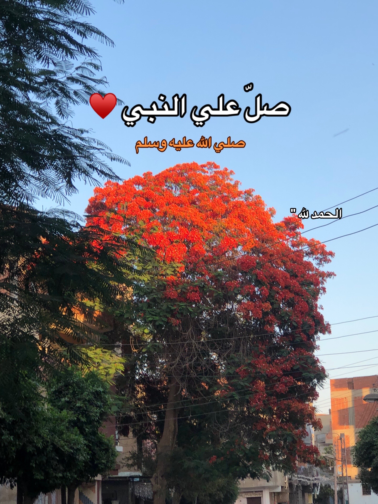 @﮼محمد | 1430هہ