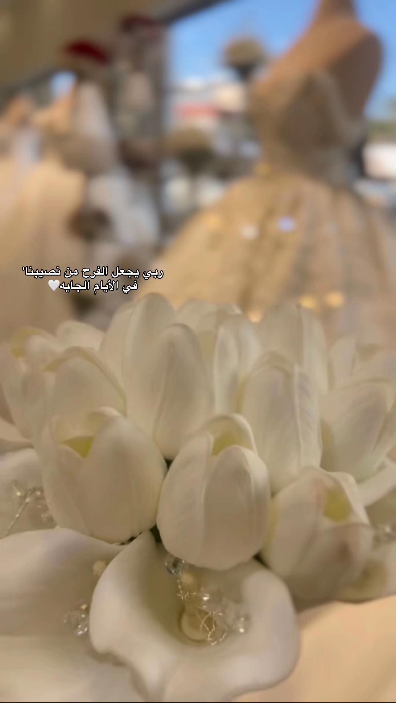 @البنت ماتسعاش ورا حد