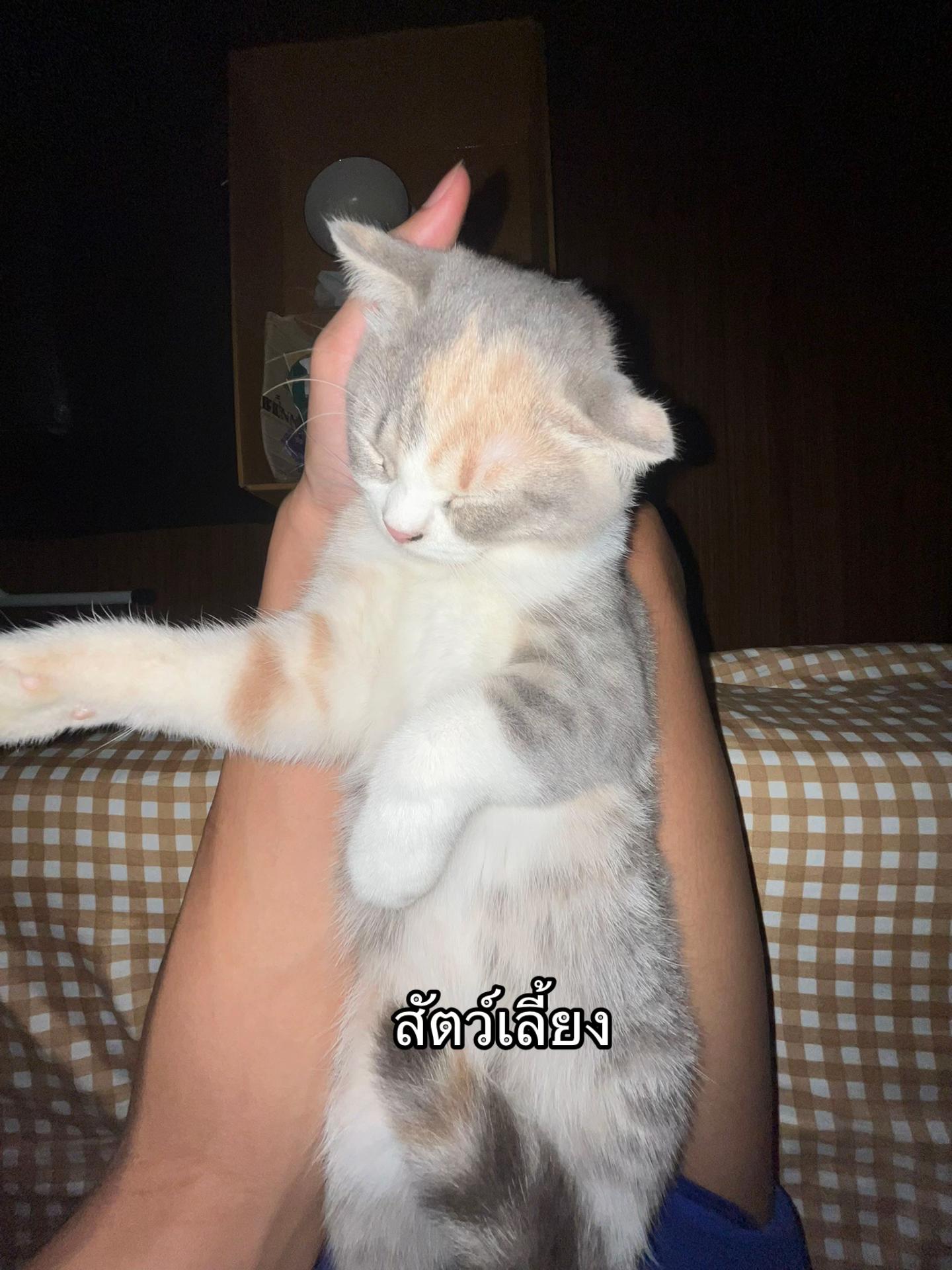 @ภณไม่ใช่พล