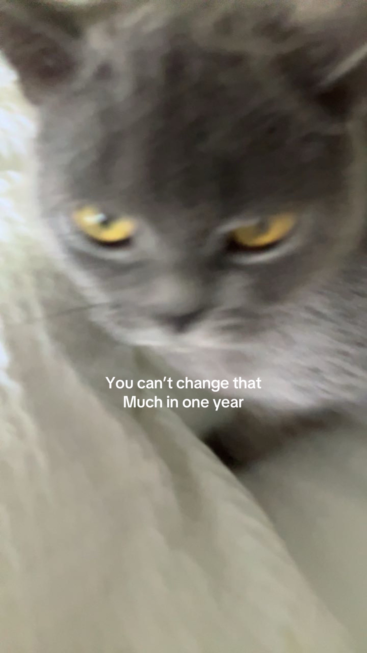 @𝓢𝓪𝓿🦭